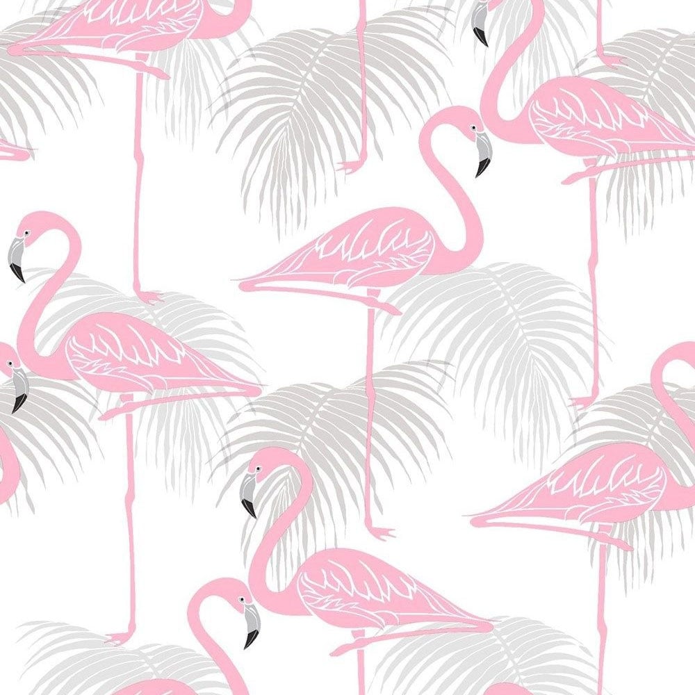 Free download Flamingo Wallpaper Image Group 47 [1000x1000] for your Desktop, Mobile & Tablet. Explore Flamingo Pink Wallpaper. Pink Flamingo Wallpaper, Flamingo Pink Wallpaper, Vintage Pink Flamingo Wallpaper