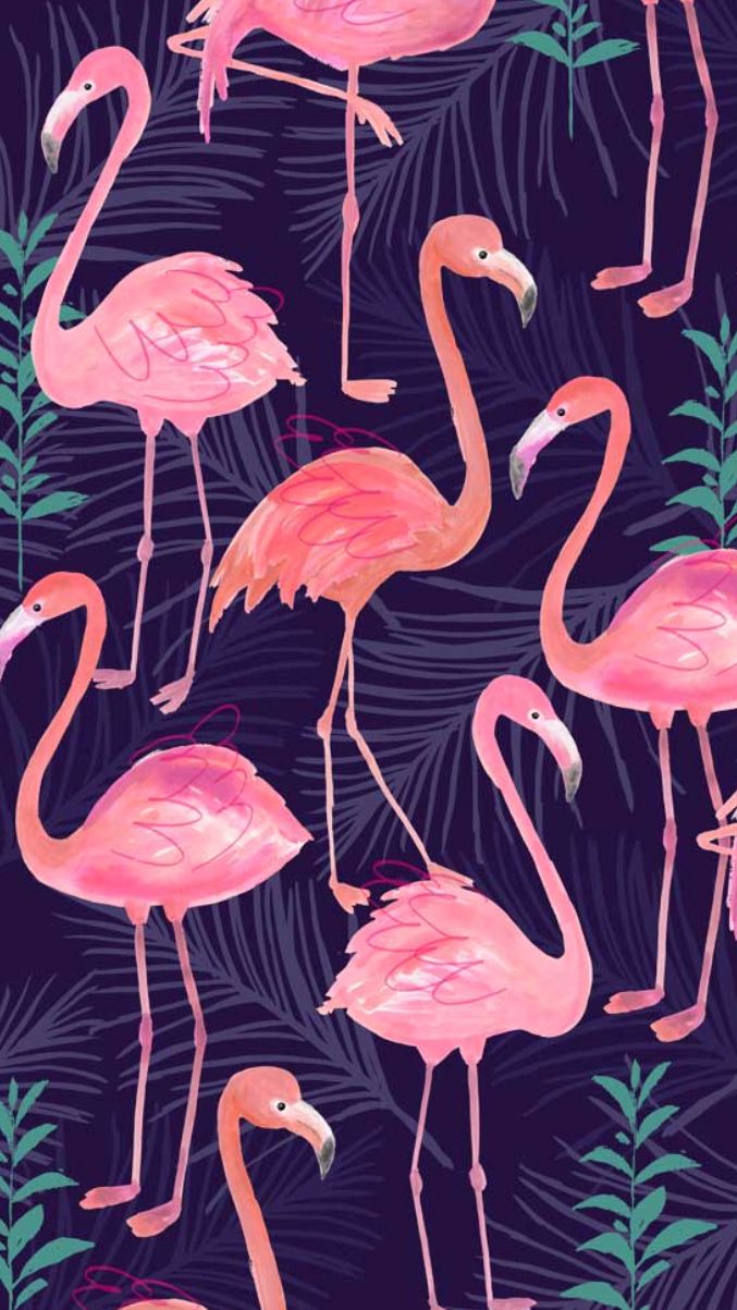 Flamingos. Flamingo wallpaper, Trendy wallpaper pattern, Pattern wallpaper