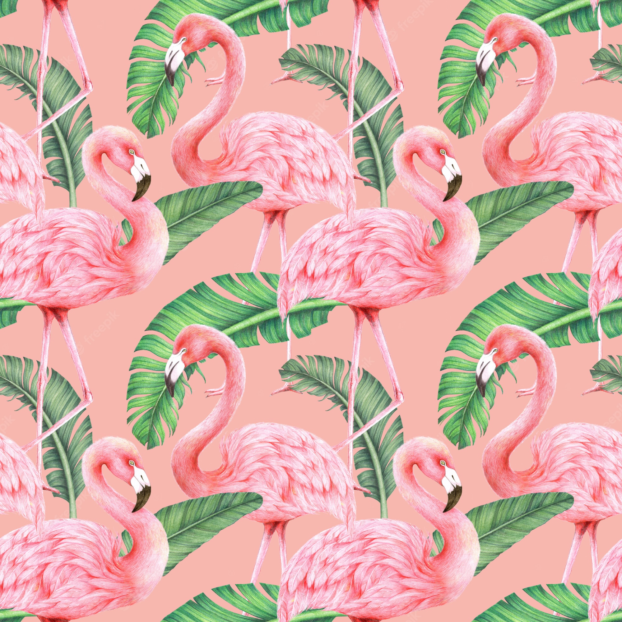 Pink Flamingo Image. Free Vectors, & PSD