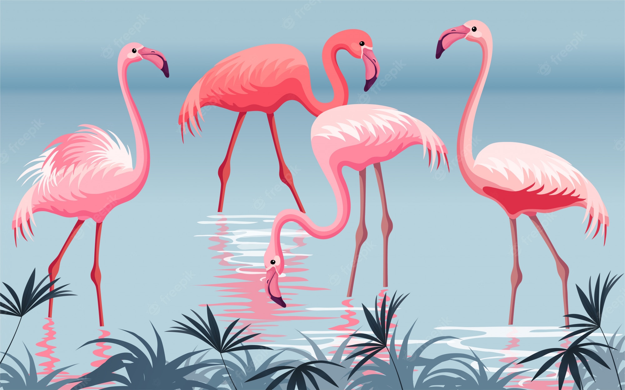Flamingo Image. Free Vectors, & PSD