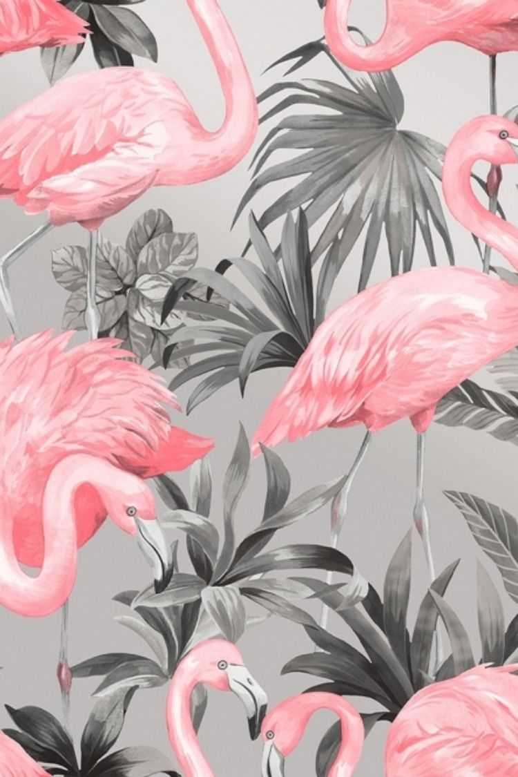 Flamingo wallpaper ideas. flamingo wallpaper, flamingo, wallpaper