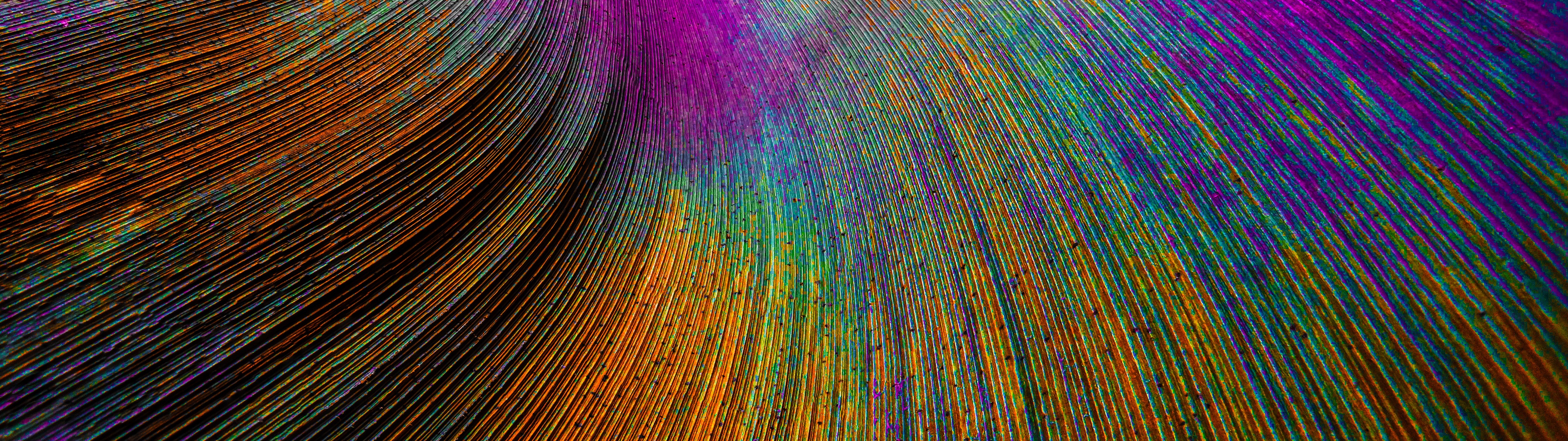 Peacock feather Wallpaper 4K, Curved lines, Colorful, Abstract