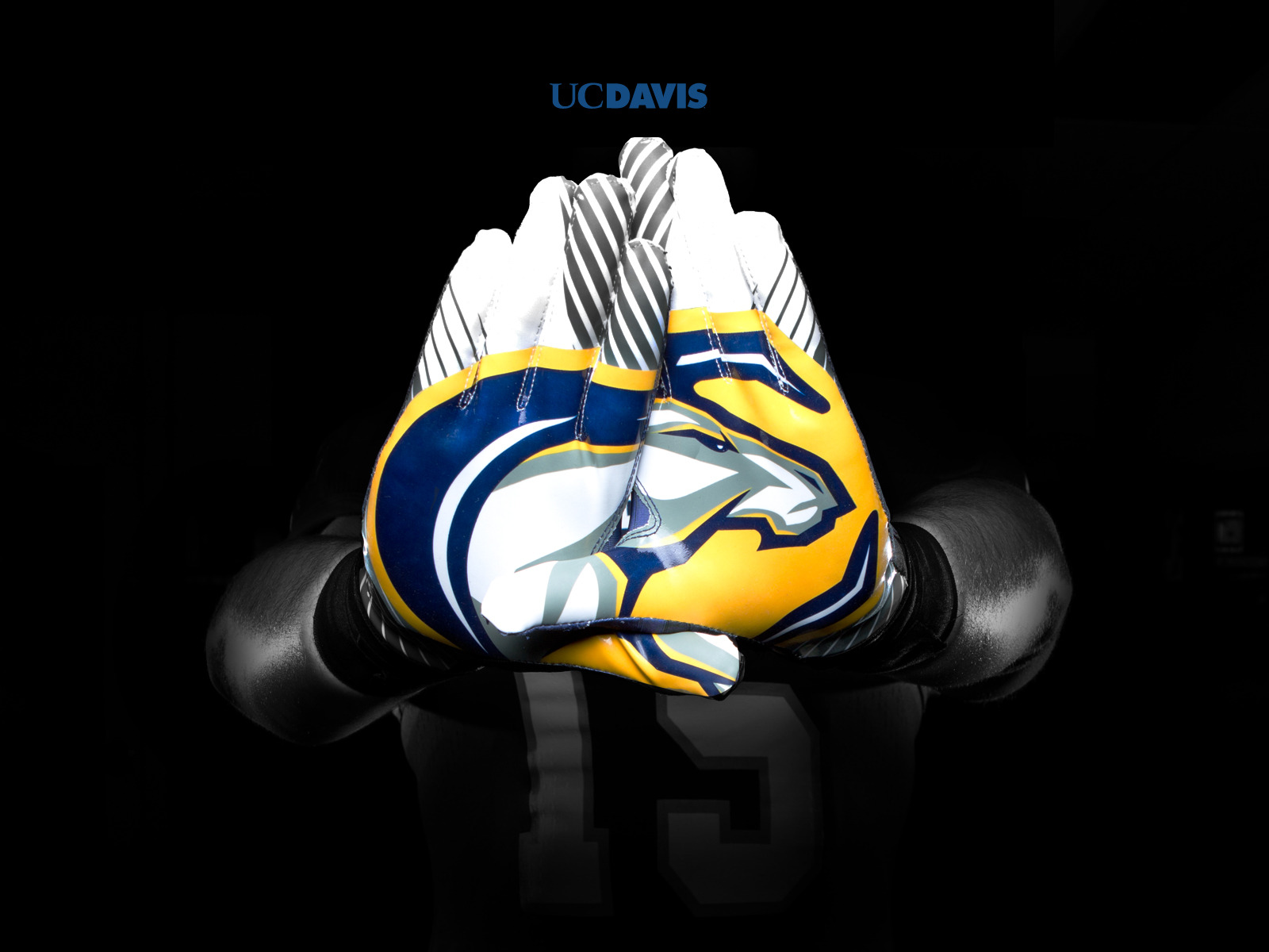 Uc Davis Athletics Wallpaper & Cover Photo Wallpaper Mobile