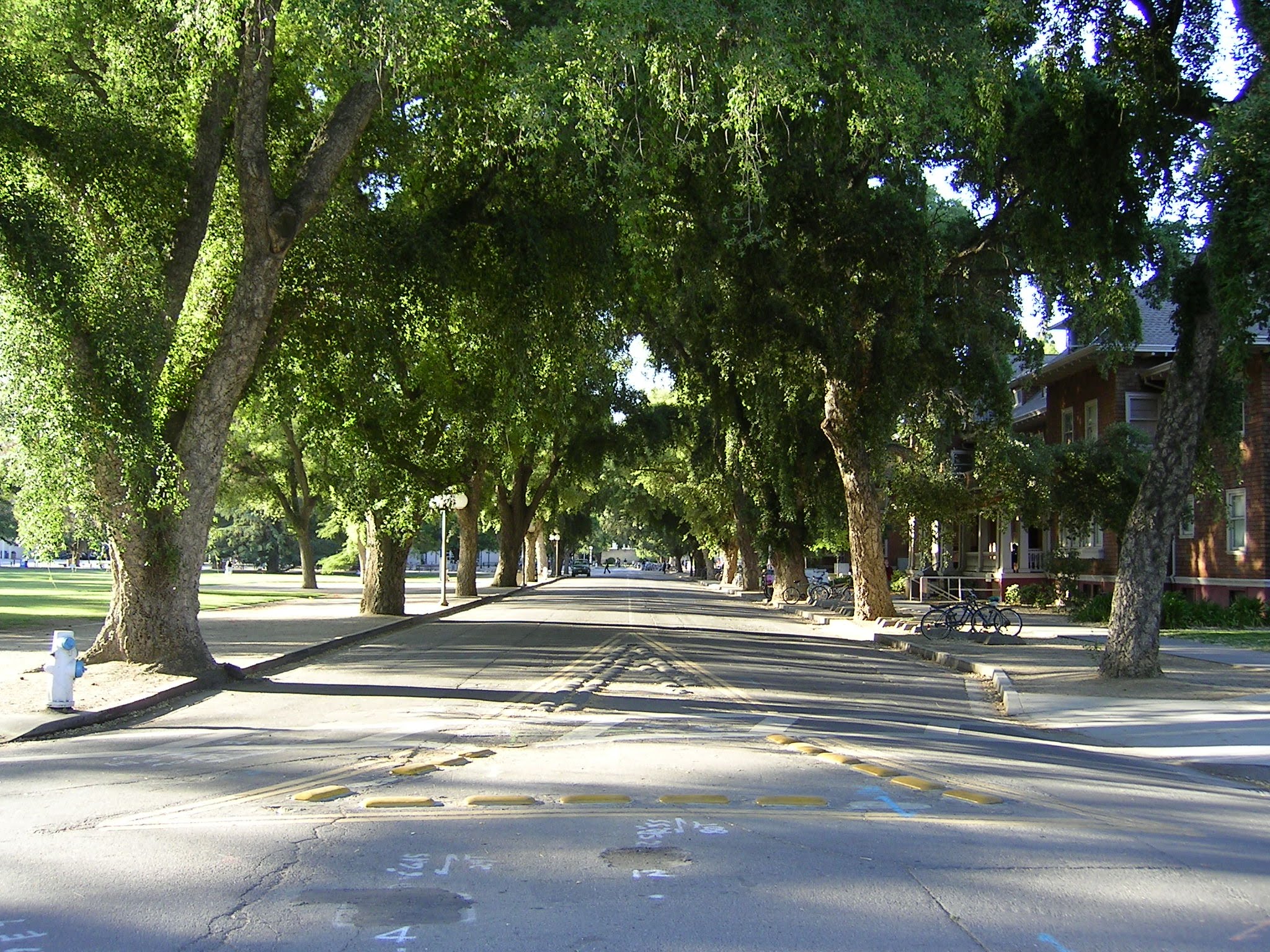 UC Davis Wallpapers Wallpaper Cave