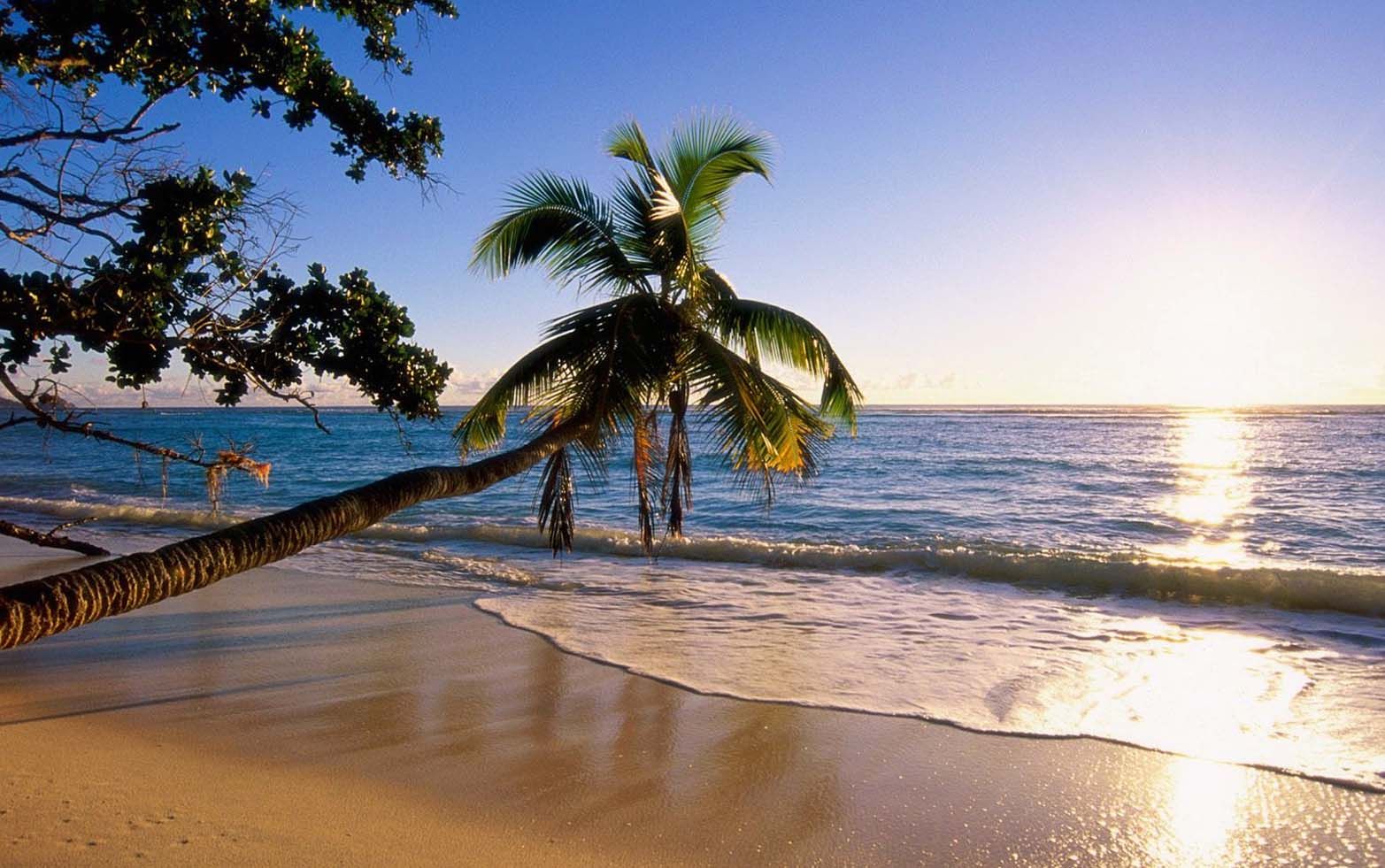 Most Visited Beaches in the World. Beaches in the world, Beautiful places nature, Beach paradise