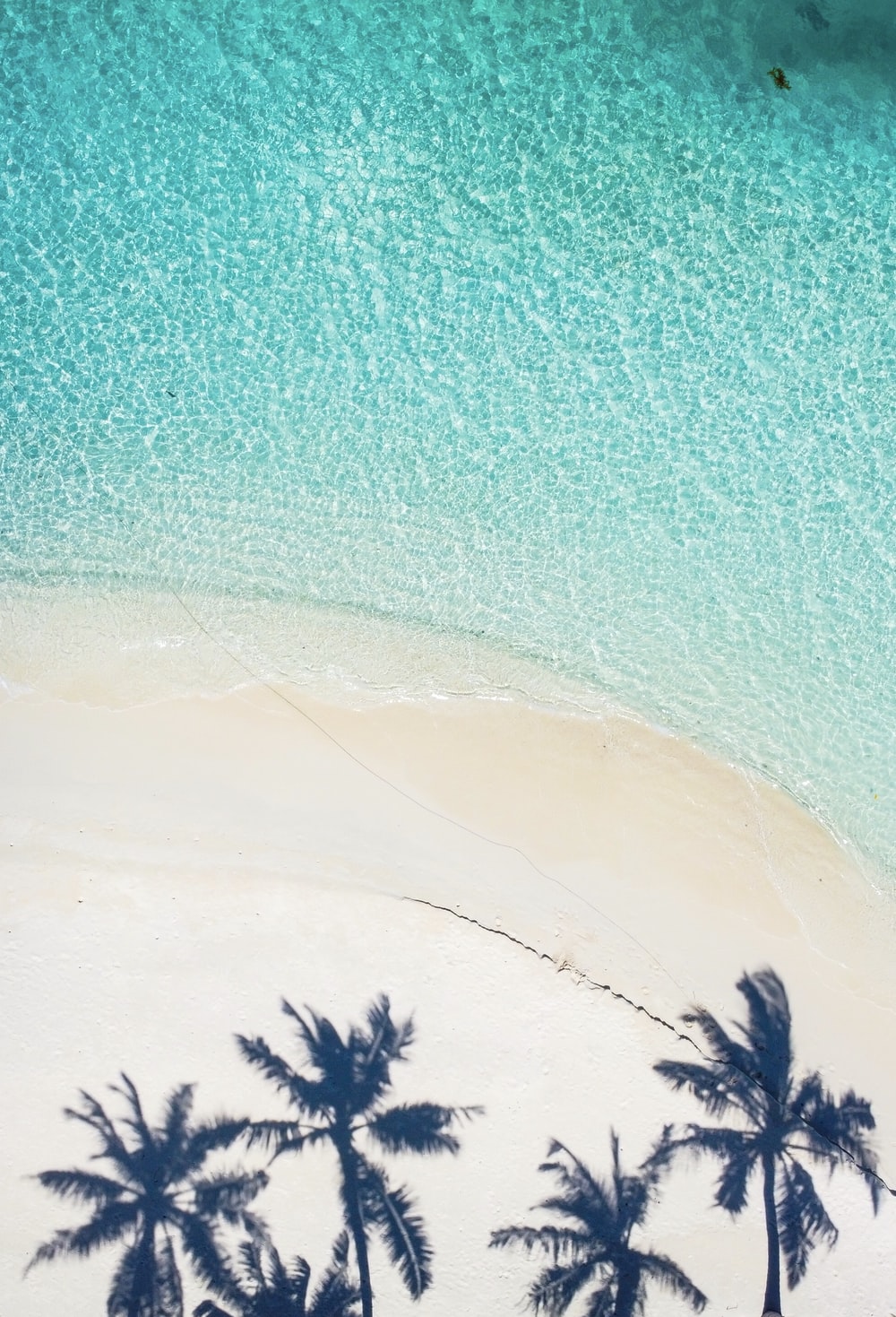 Seychelles Beach Picture. Download Free Image