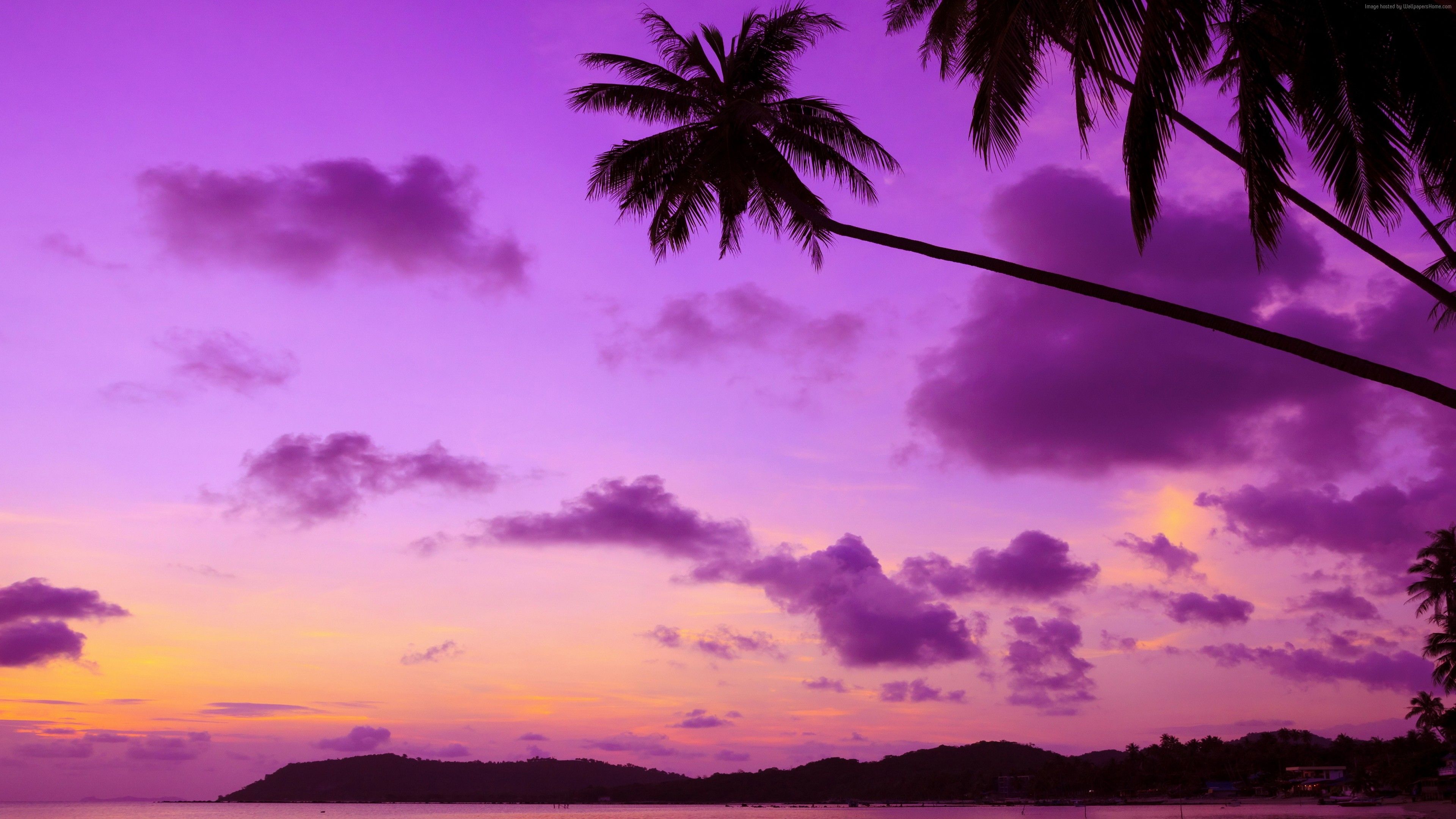 Wallpaper Thailand, 4k, 5k wallpaper, beach, palms, shore, sunset, travel, tourism, Travel /wallpap. Purple sky, Sunset, Sunset wallpaper