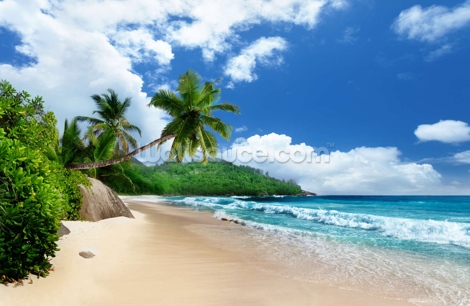 Free download Mahe Island Beach Seychelles Wallpaper Mural Wallsauce US [1600x1042] for your Desktop, Mobile & Tablet. Explore Island Beach Wallpaper. Island Beach Wallpaper, Island Wallpaper, Island Wallpaper