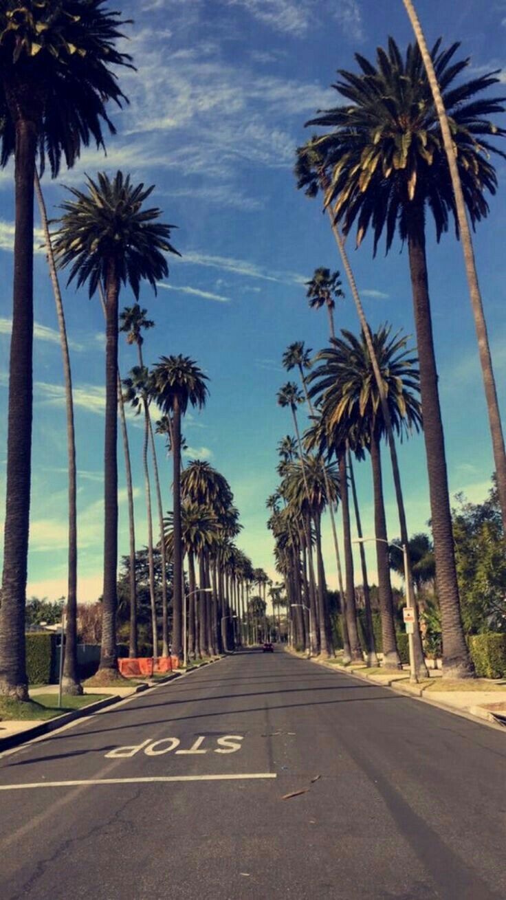 BOOK PHOTOS. Los angeles wallpaper, Beach wallpaper iphone, Beach wallpaper