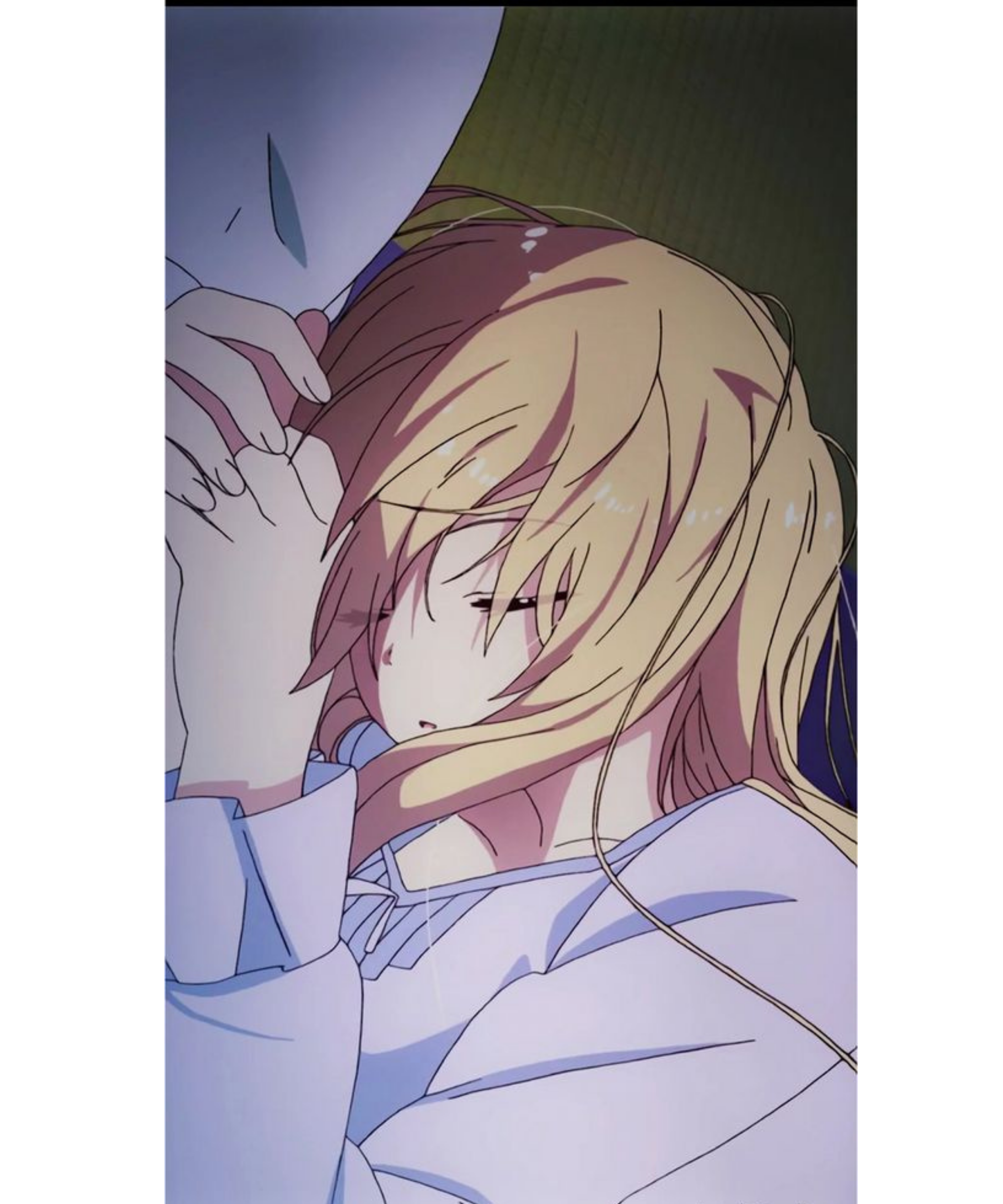 sakurasu pet