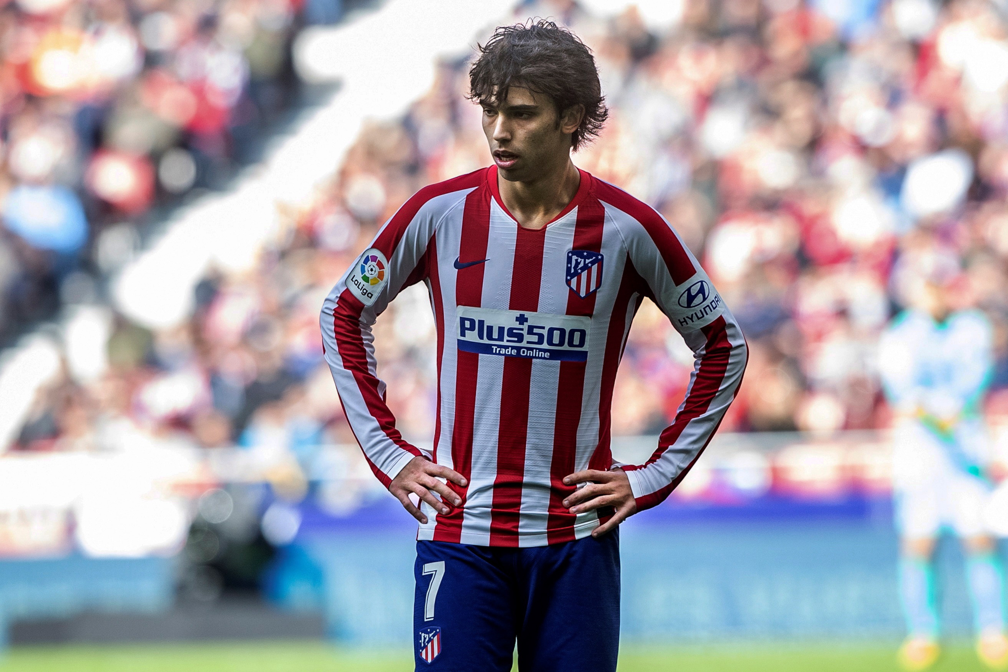 Joao Felix HD Wallpaper