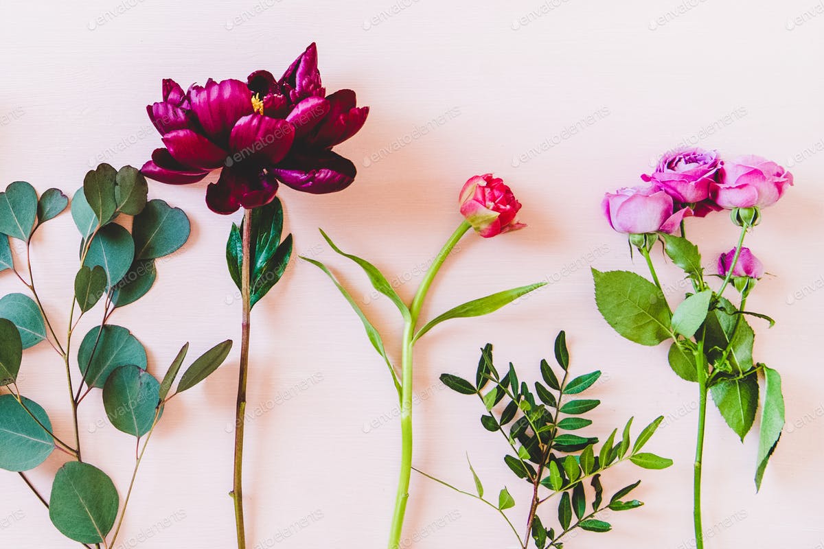 Flat Lay Of Various Summer Flowers Over Pink Background, Wide Composition Photo By Sonyakamoz On Envato Elements