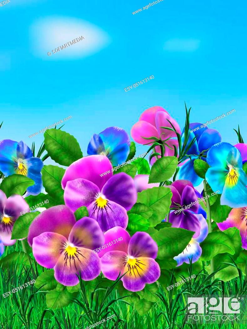 Pansy. Viola Tricolor Flowers With Green Grass With Blue Sky Background, , Picture And Low Budget Royalty Free Image. Pic. ESY 051613140