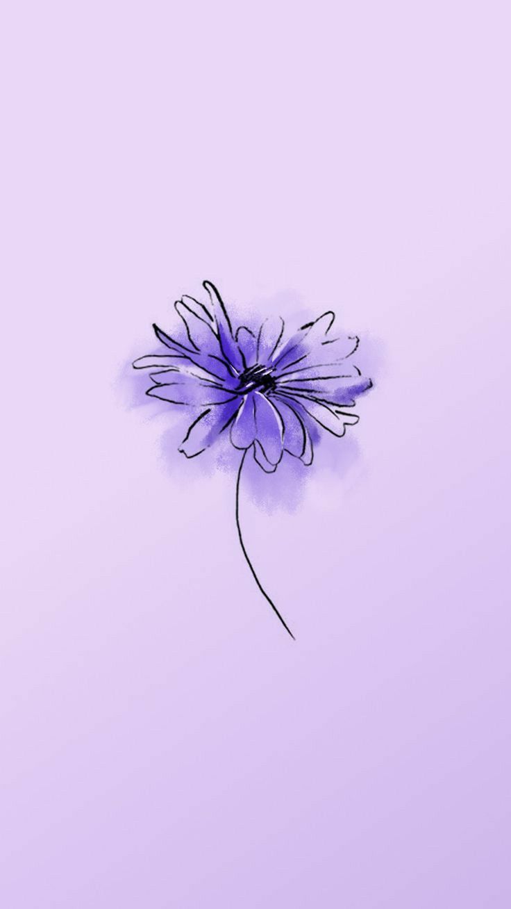 Purple Daisies Wallpapers - Wallpaper Cave