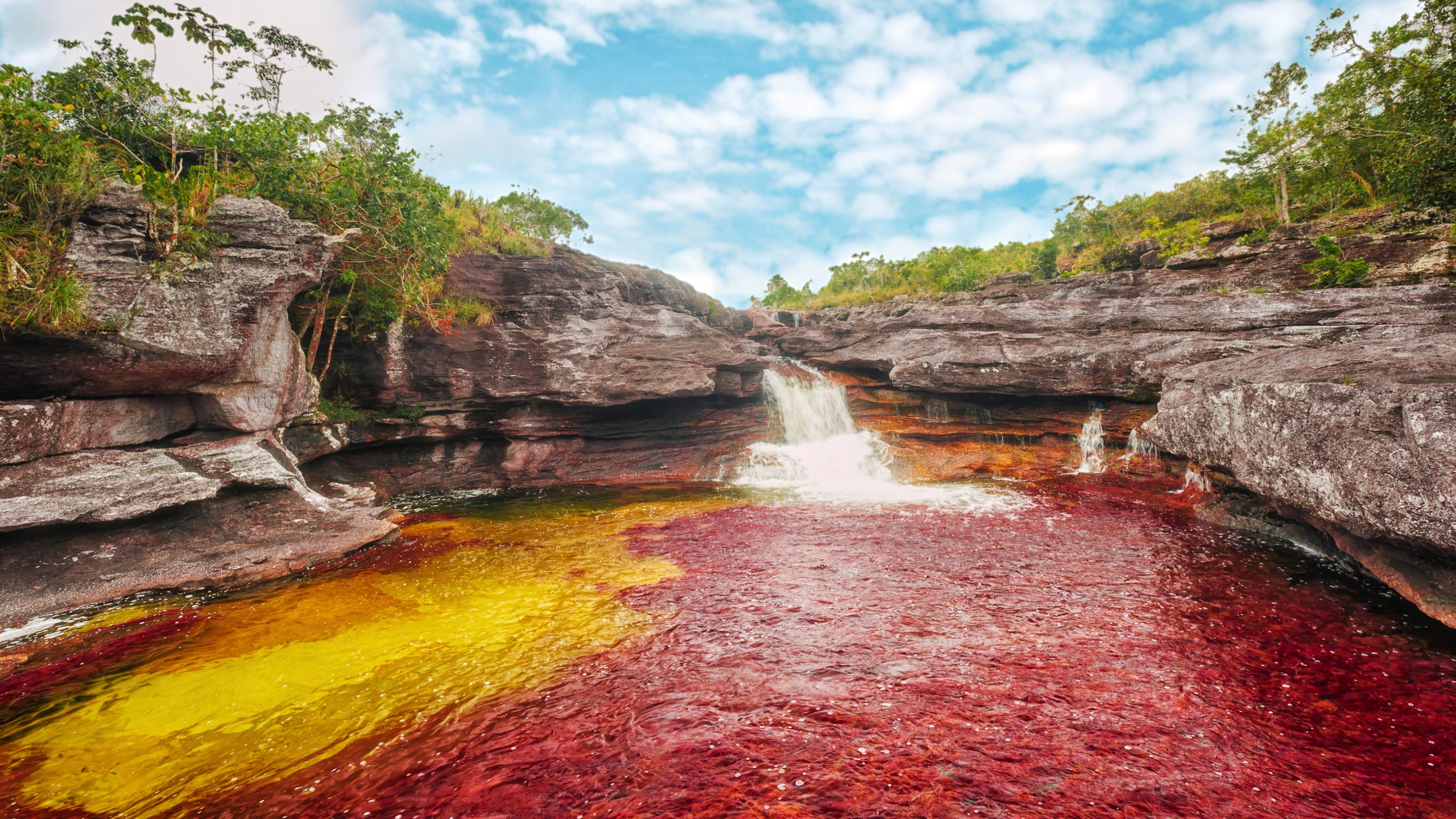 Caño Cristales HD Wallpaper