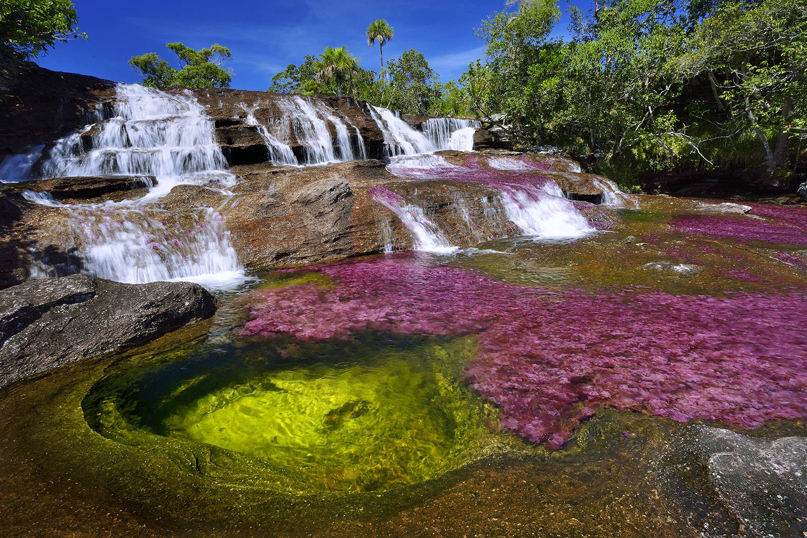 Caño Cristales, Colombia