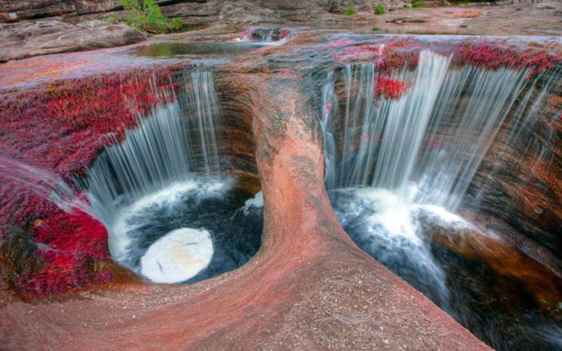 Cano Cristales River Colombia Wallpaper 1920x1200 Full HD, Wallpaper13.com
