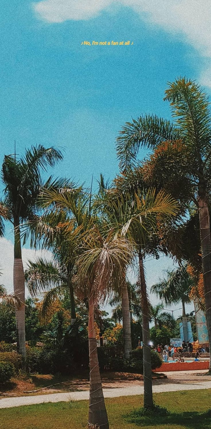 grunge background lockscreen aesthetic grainy not a fan. Palm springs aesthetic, Beach aesthetic, Phone wallpaper image