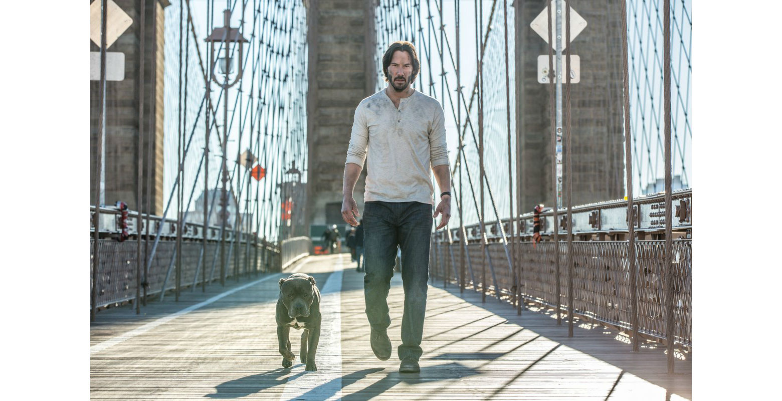 John Wick is Back With a New Dog