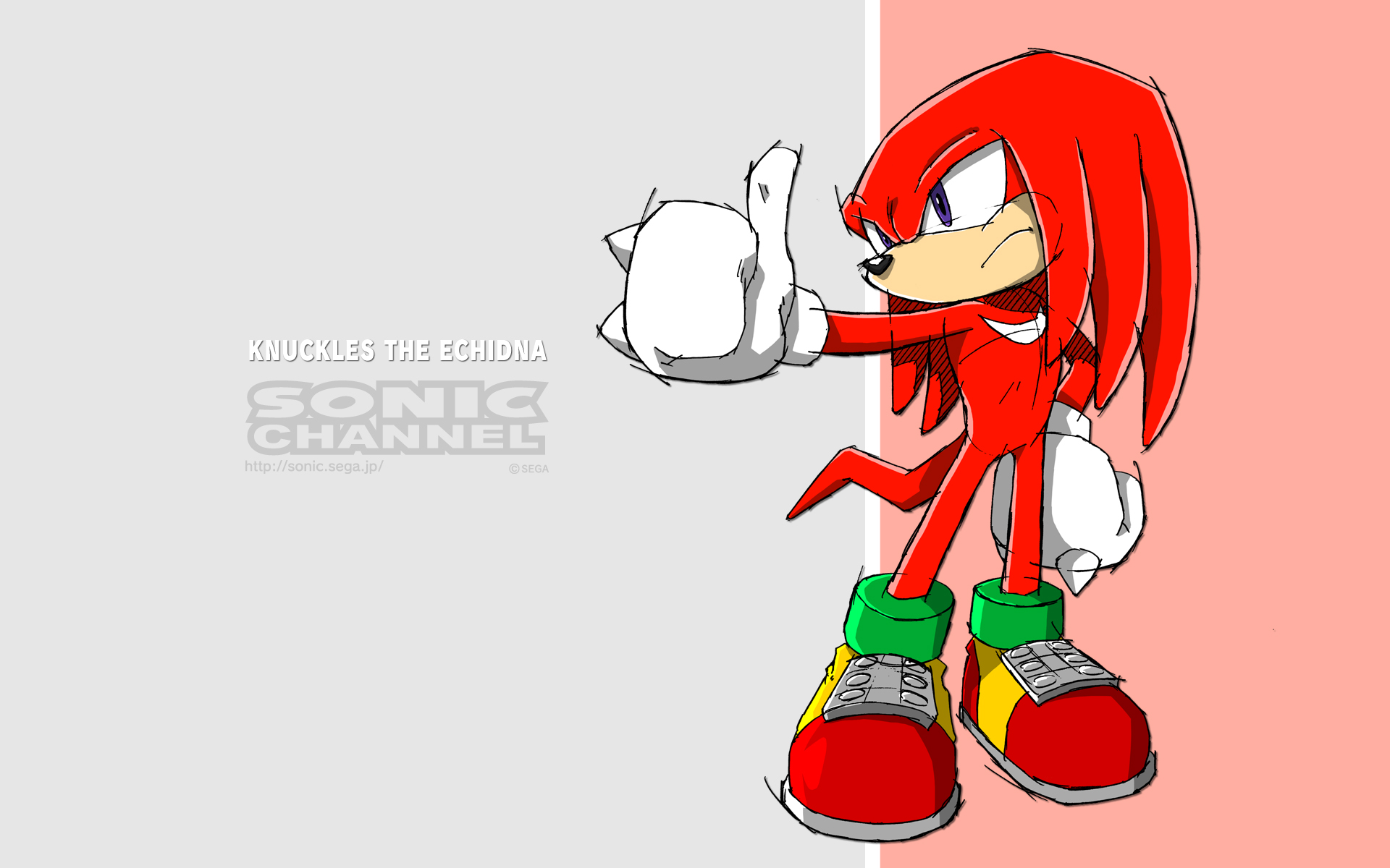 Knuckles The Echidna Video Game Sonic