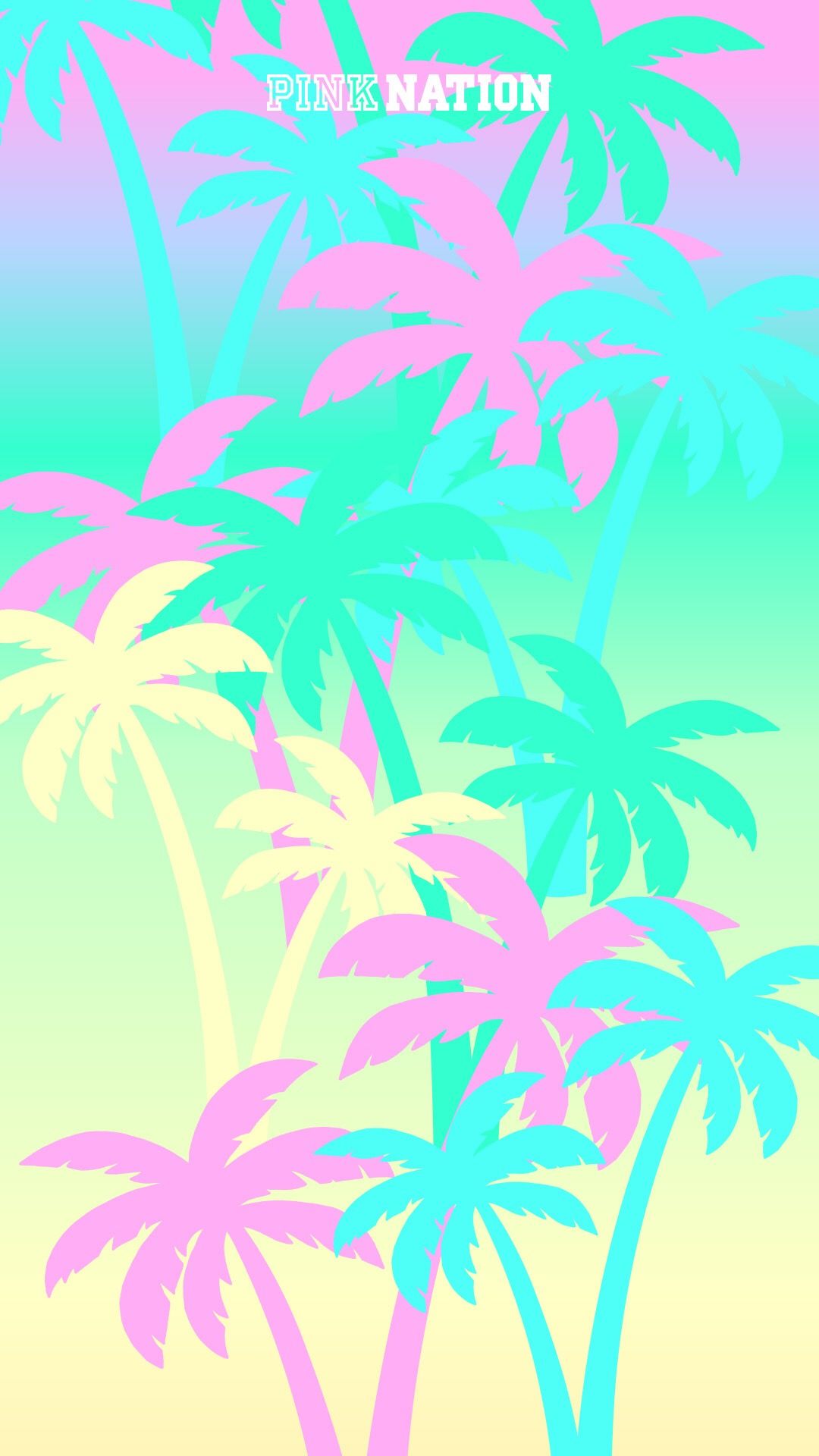 Summer Palm Tree Wallpaper