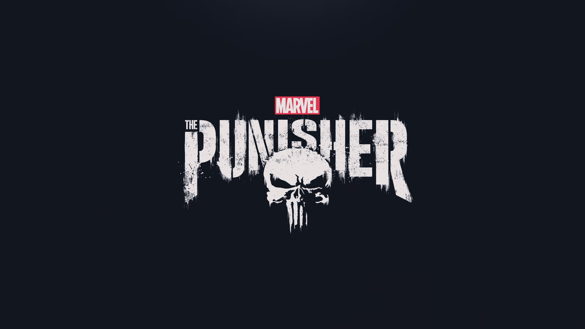 The Punisher Wallpaper The Punisher Background Download