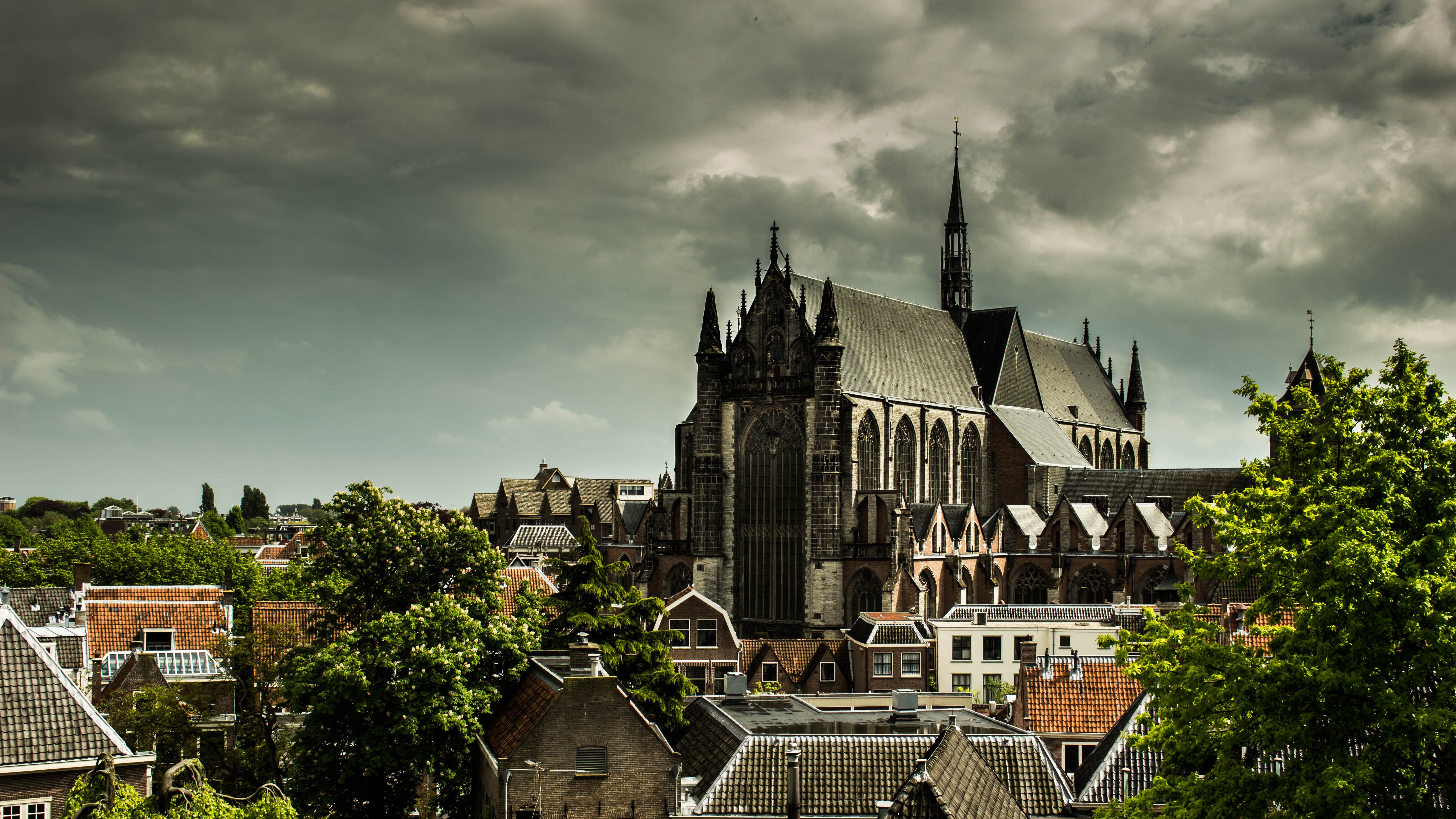 Best Free Leiden & Image · 100% Royalty Free HD Downloads