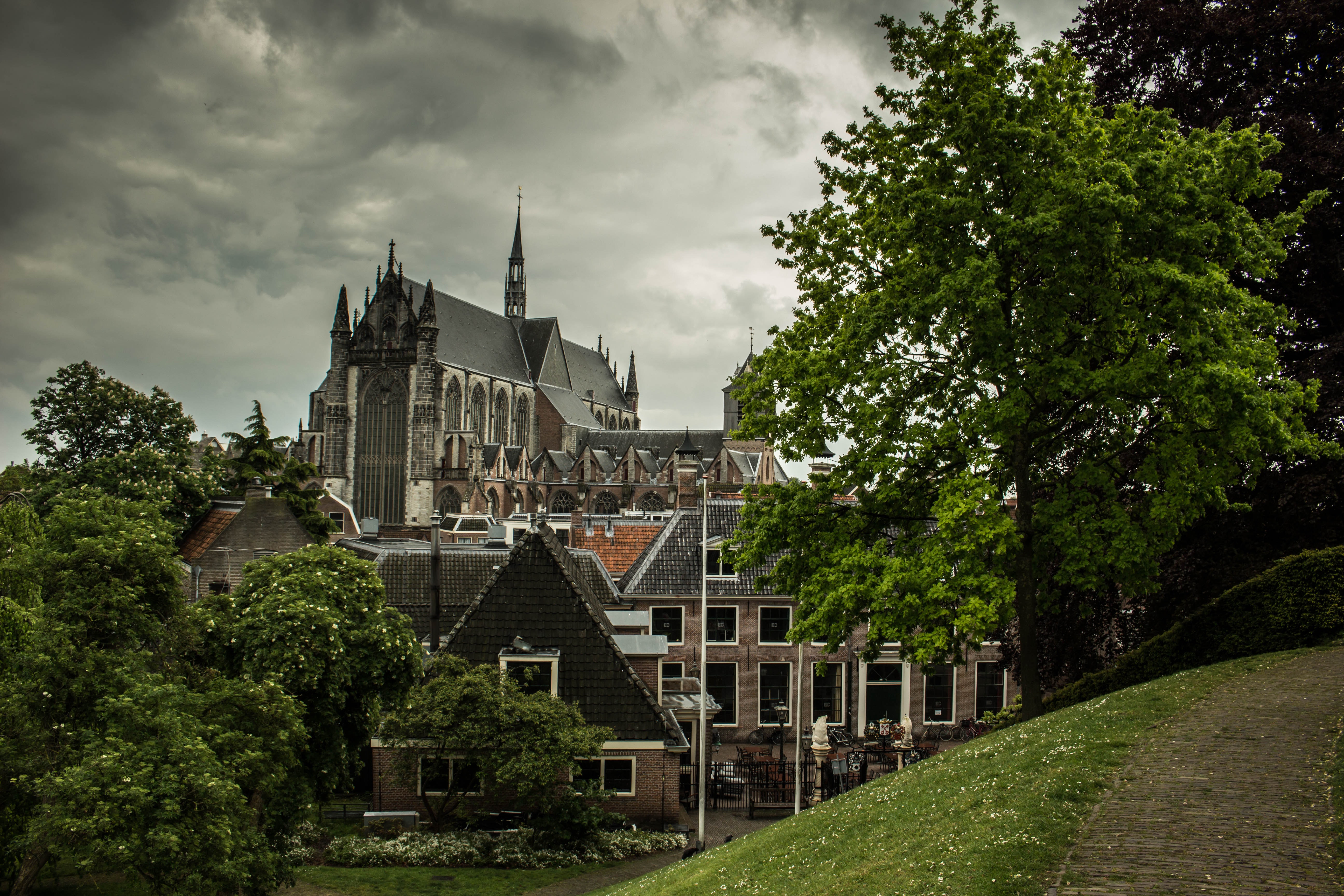 Best Free Leiden & Image · 100% Royalty Free HD Downloads
