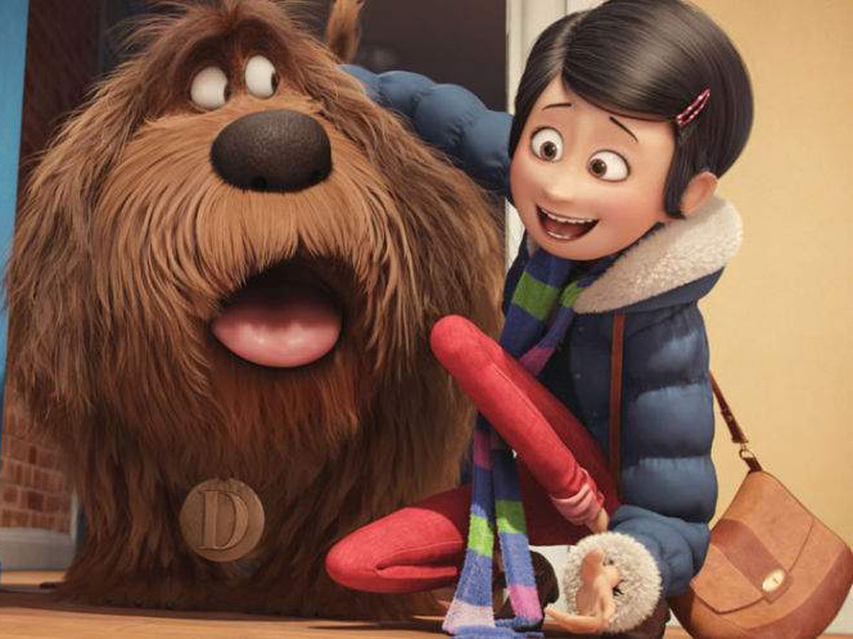 Katie The Secret Life Of Pets Wallpapers Wallpaper Cave