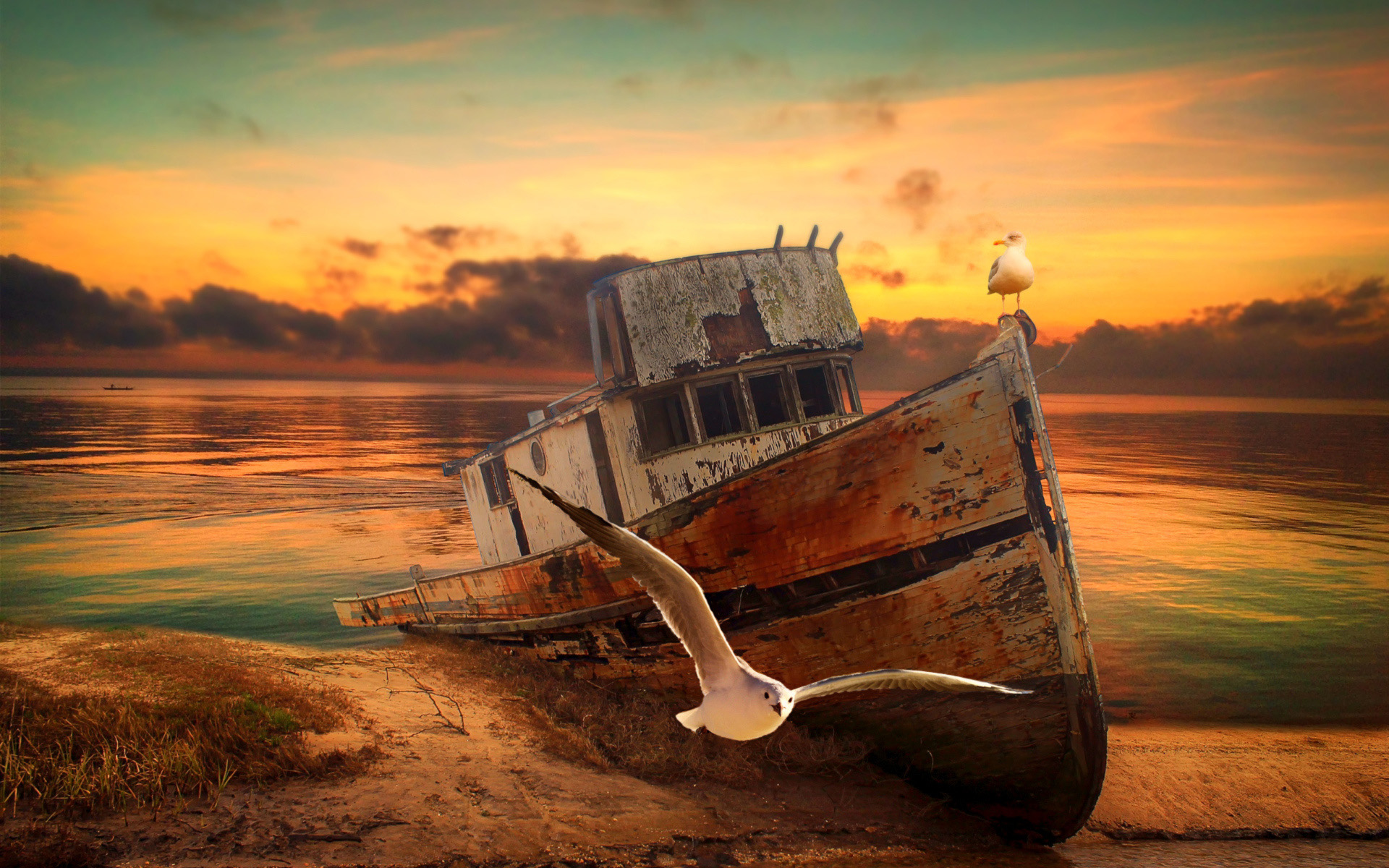 Download wallpaper abandoned boat, sunset, seagulls, shore, fishing boat, boat on shore for desktop with resolution 1920x1200. High Quality HD picture wallpaper