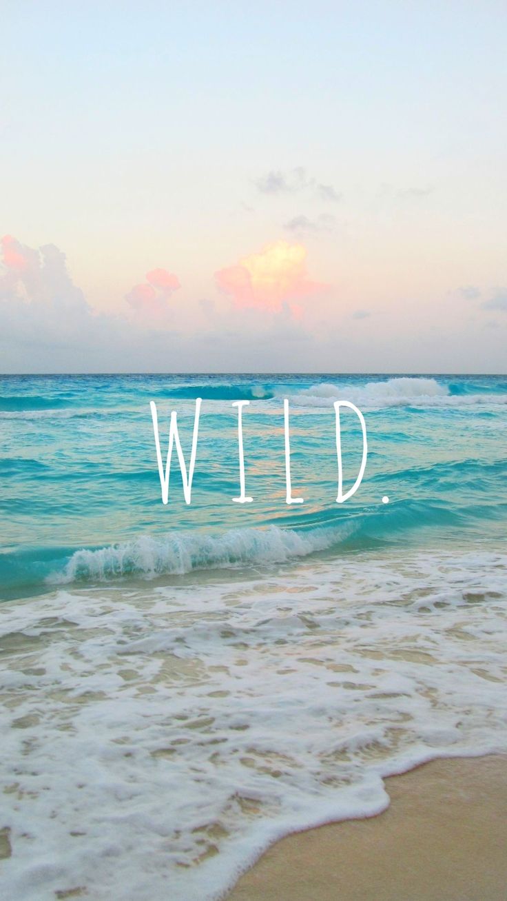 W I L D. Cute summer wallpaper, iPhone wallpaper lights, Cute wallpaper background