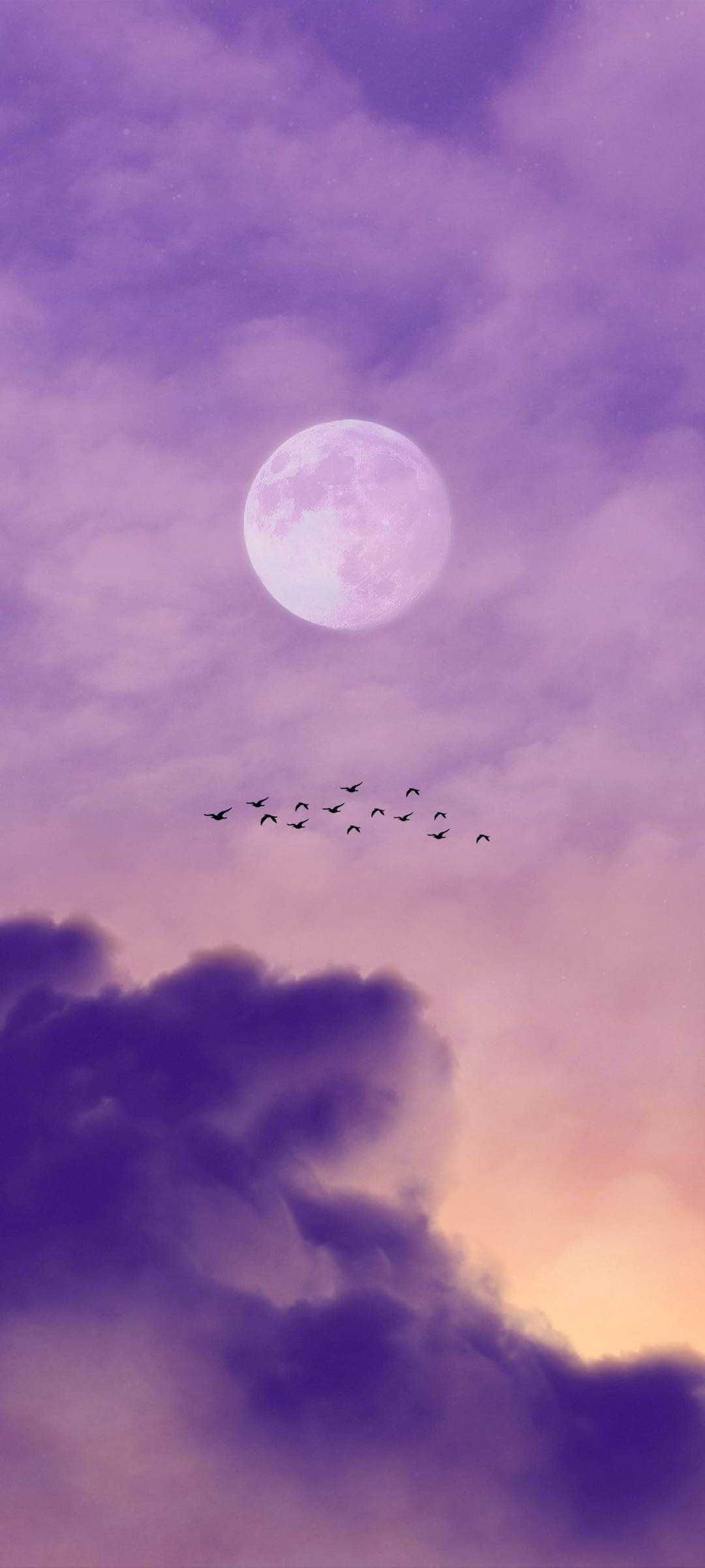 Sky Wallpaper Discover more 1080x Aesthetic, Android, Cute, Moon wallpaper. ht. Cool wallpaper for phones, Phone wallpaper image, Phone wallpaper