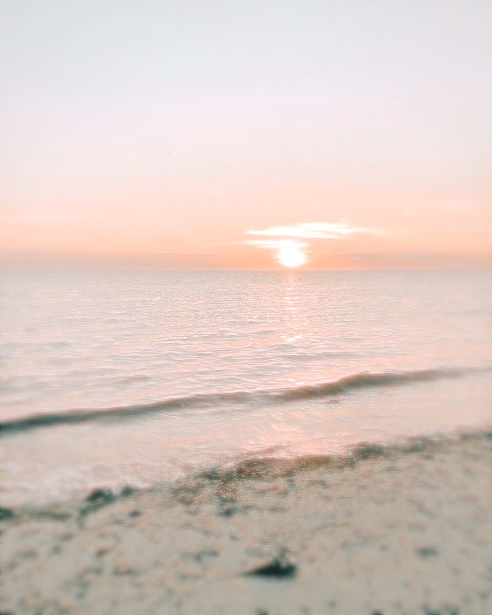 Aesthetic Summer PFP Wallpapers - Wallpaper Cave
