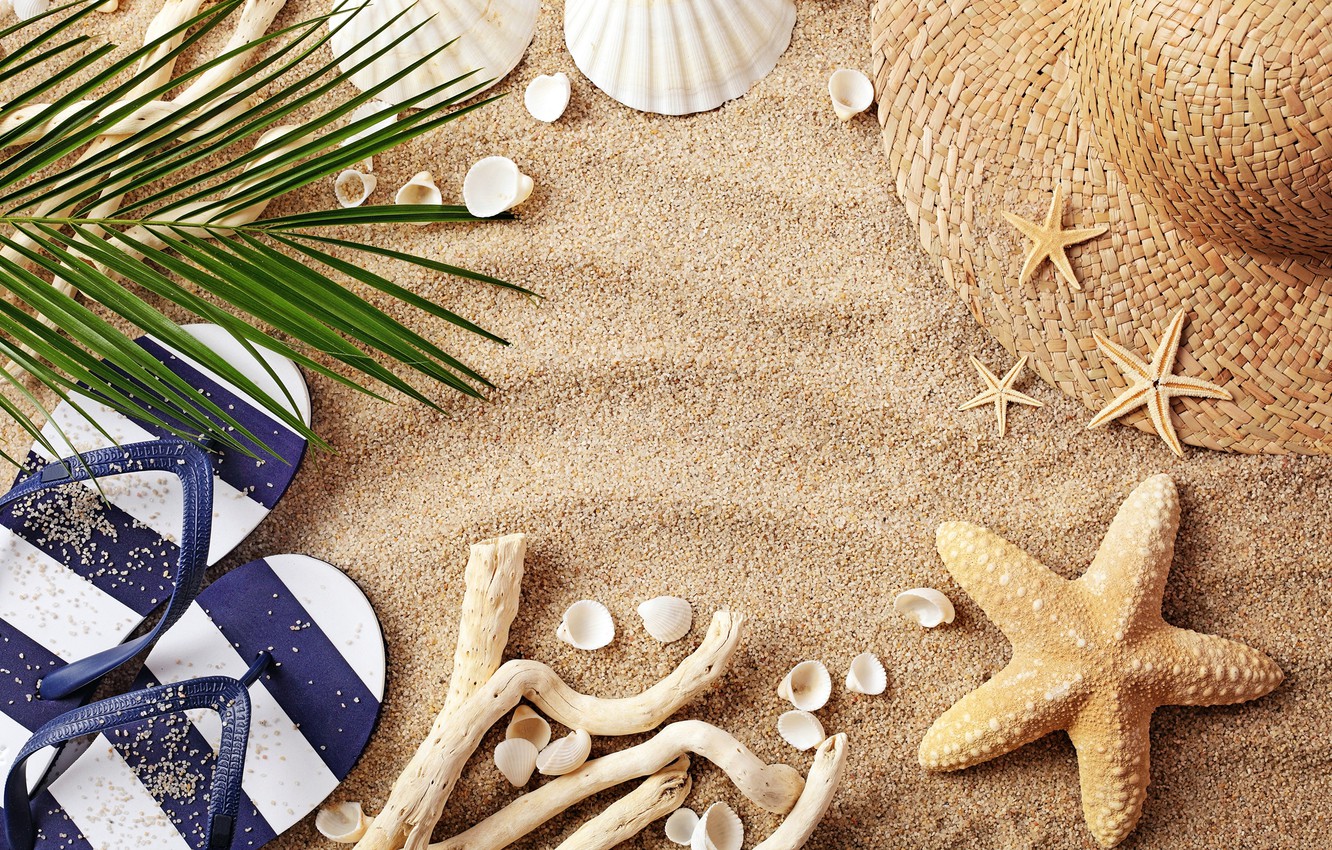 Wallpaper sand, beach, summer, shell, hat, flip flops image for desktop, section настроения