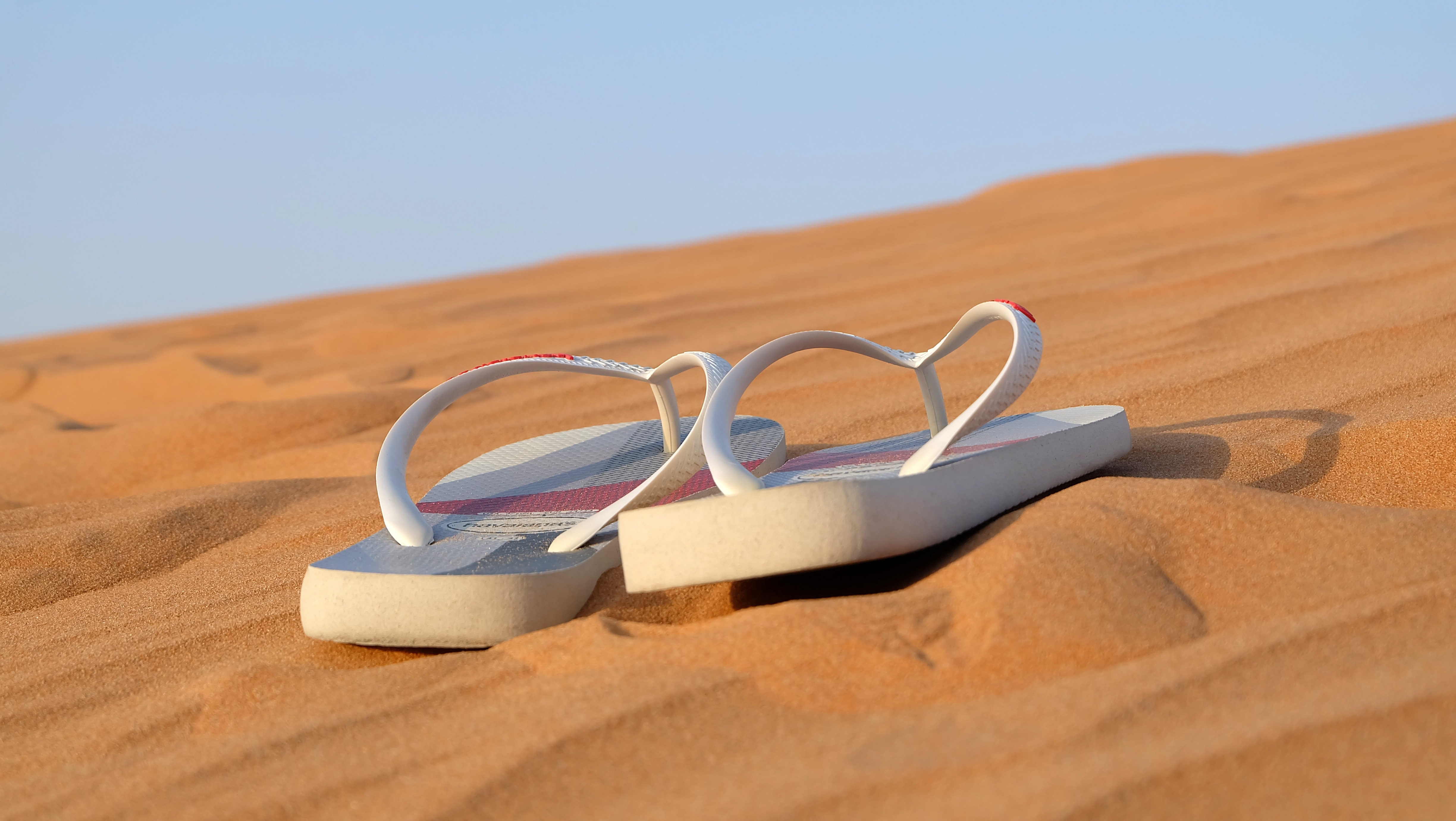 Best Free Sandals & Image · 100% Royalty Free HD Downloads
