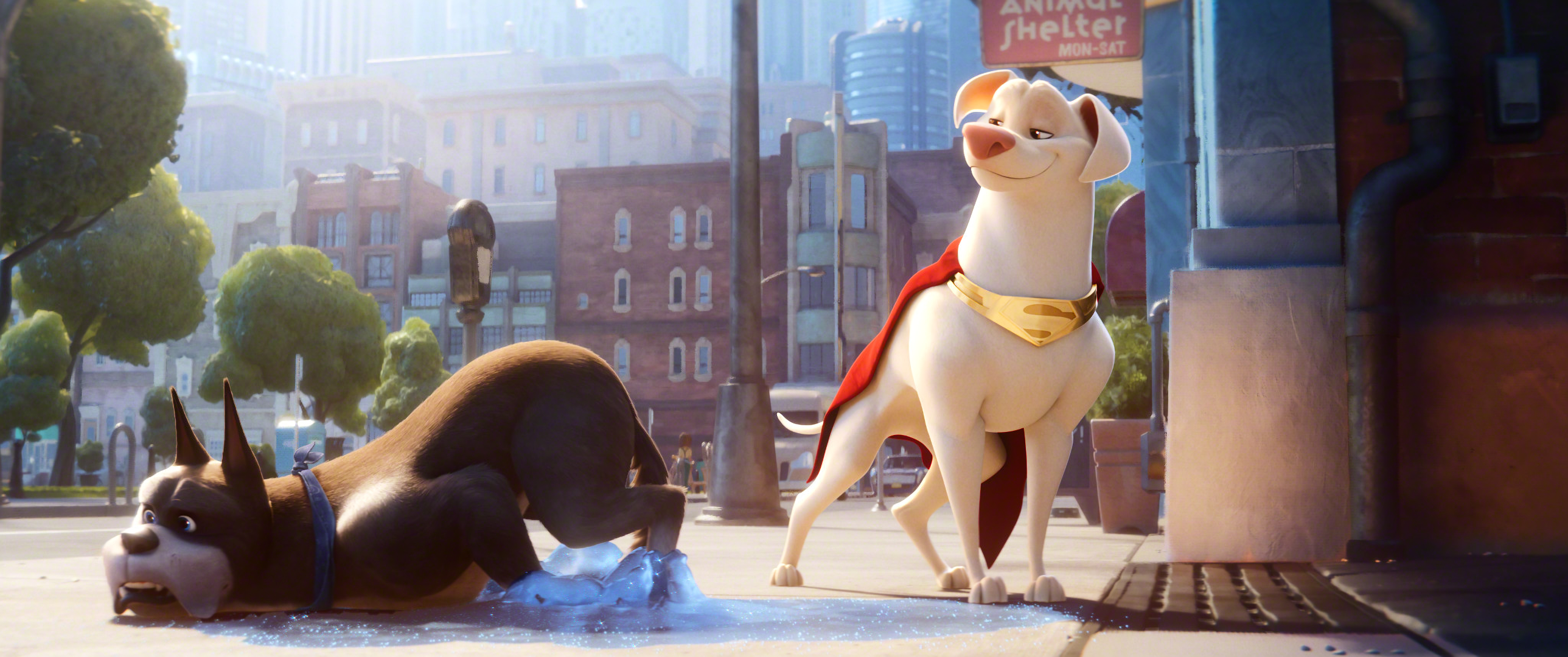 Krypto (DC Comics) HD Wallpaper and Background