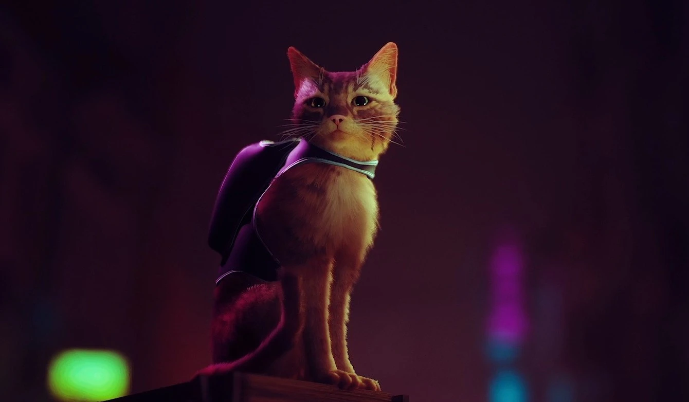 Stray, PS5's Cyberpunk Cat Game, Gets a Release Date