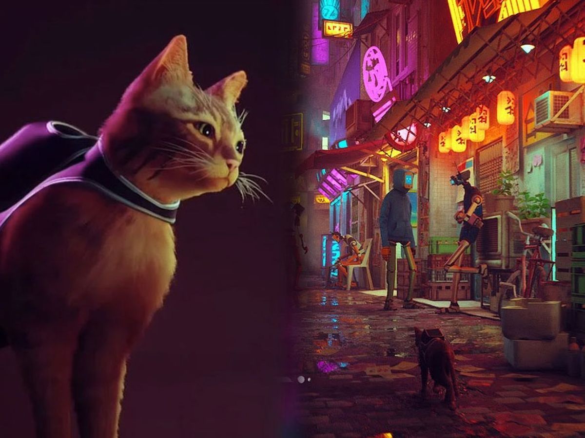 New PlayStation 5 game lets you play as a stray cat solving mysteries in a futuristic city