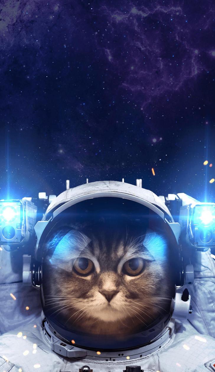 Wallpaper HD: Astronaut, Cat, Phone, Wallpaper, Top, Free, Astronaut, Cat, Phone, cats, In, Space, iPhone, Wallpaper