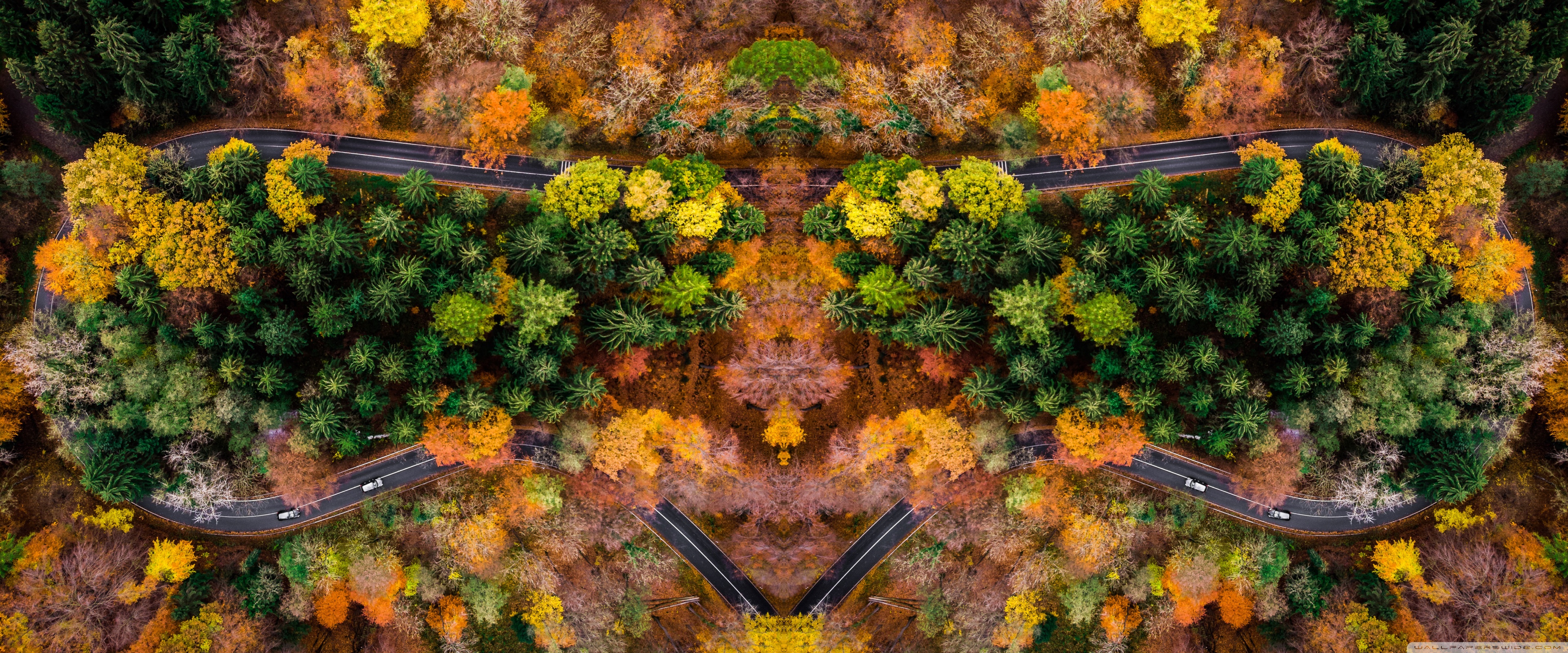 Autumn Symetric Drone Shot Ultra HD Desktop Background Wallpaper for: Widescreen & UltraWide Desktop & Laptop, Multi Display, Dual Monitor, Tablet