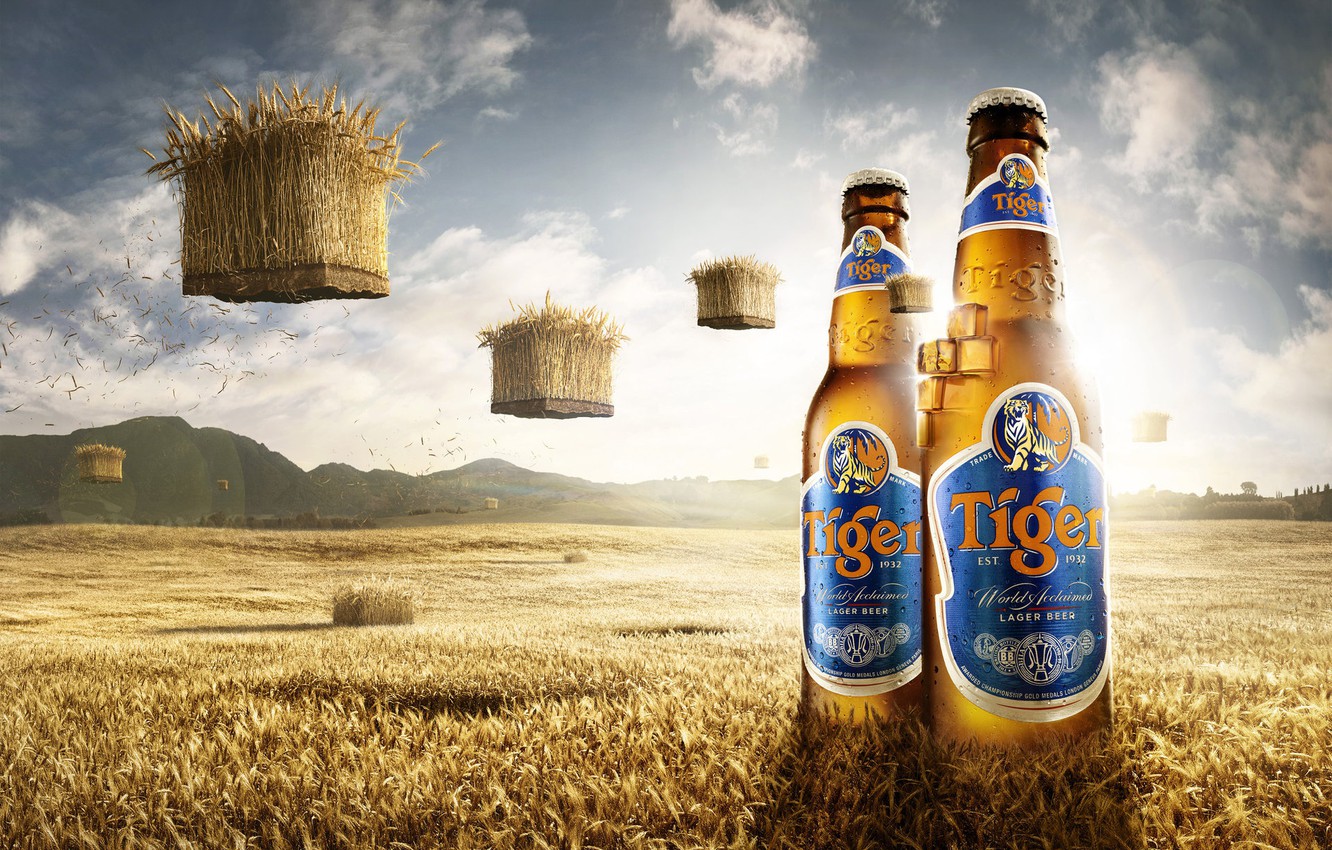 Wallpaper field, mountains, beer, bottle, Tiger Beer Bali image for desktop, section рендеринг