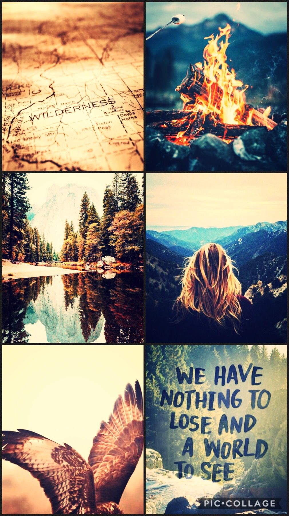 Thunderbird Aesthetic. Wizarding world of harry potter, Dark acedemia, Ilvermorny