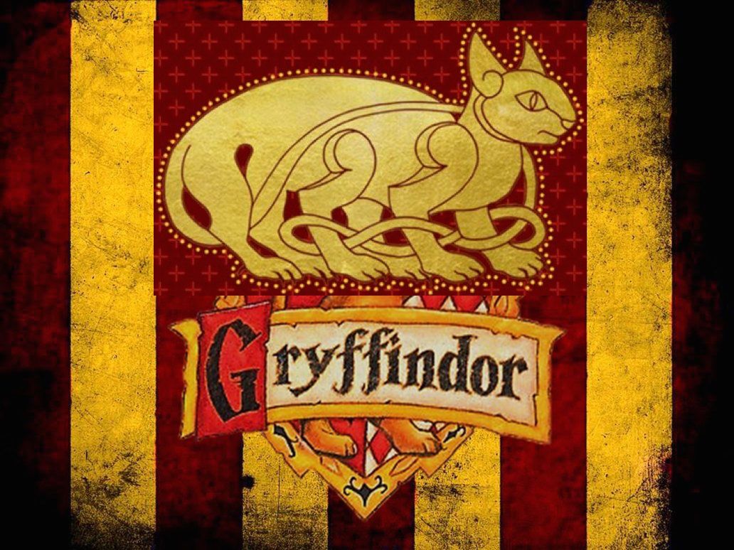 What Your Hogwarts & Ilvermorny House Combination Really Means