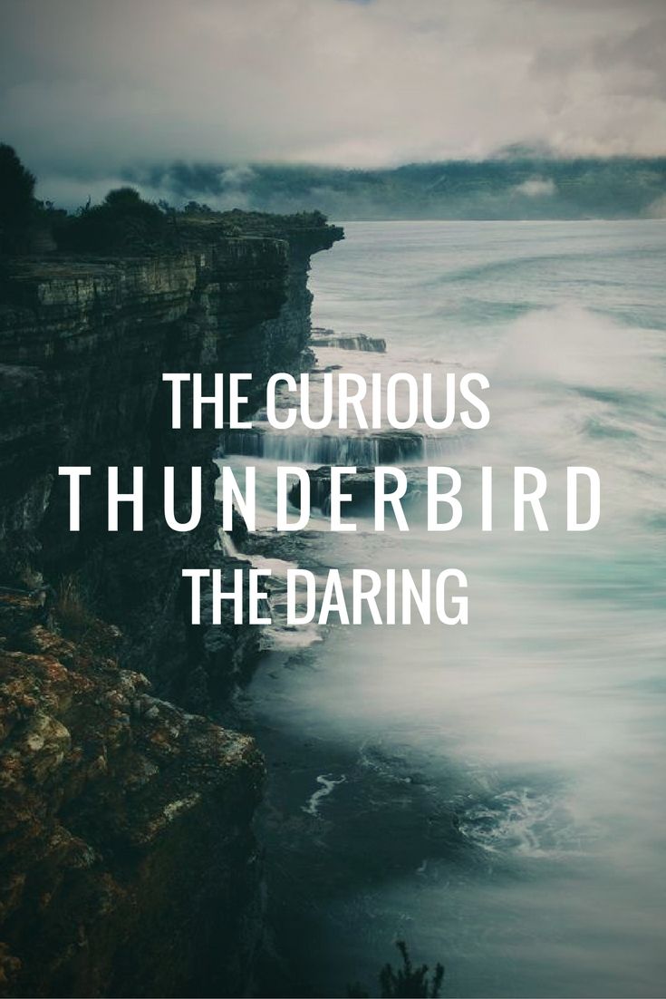 Thunderbird. Ilvermorny.. Thunderbird ilvermorny, Ilvermorny, American wizarding school