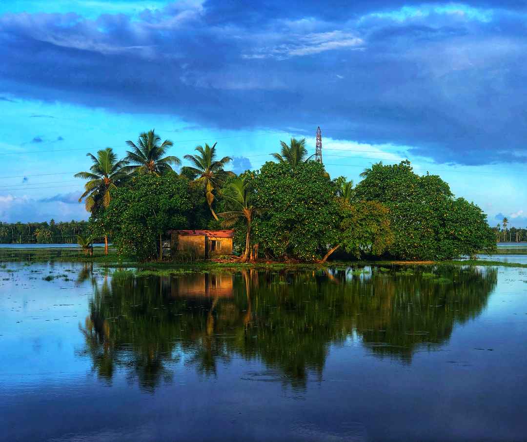 The Unexplored Side of Alleppey Hotspots to Cover When You are Here Next