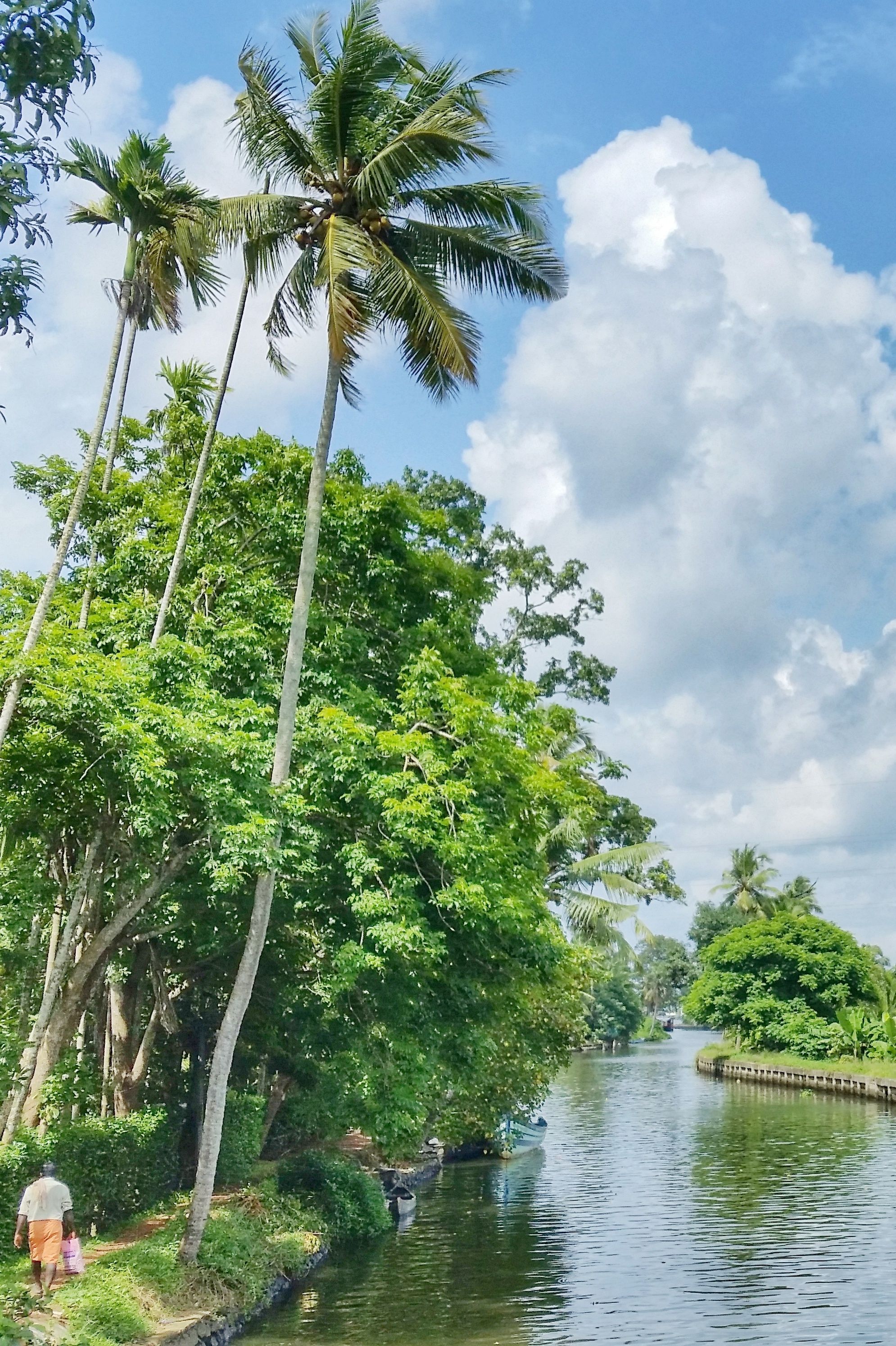 See Kuttanad ferry from Alleppey?! YES