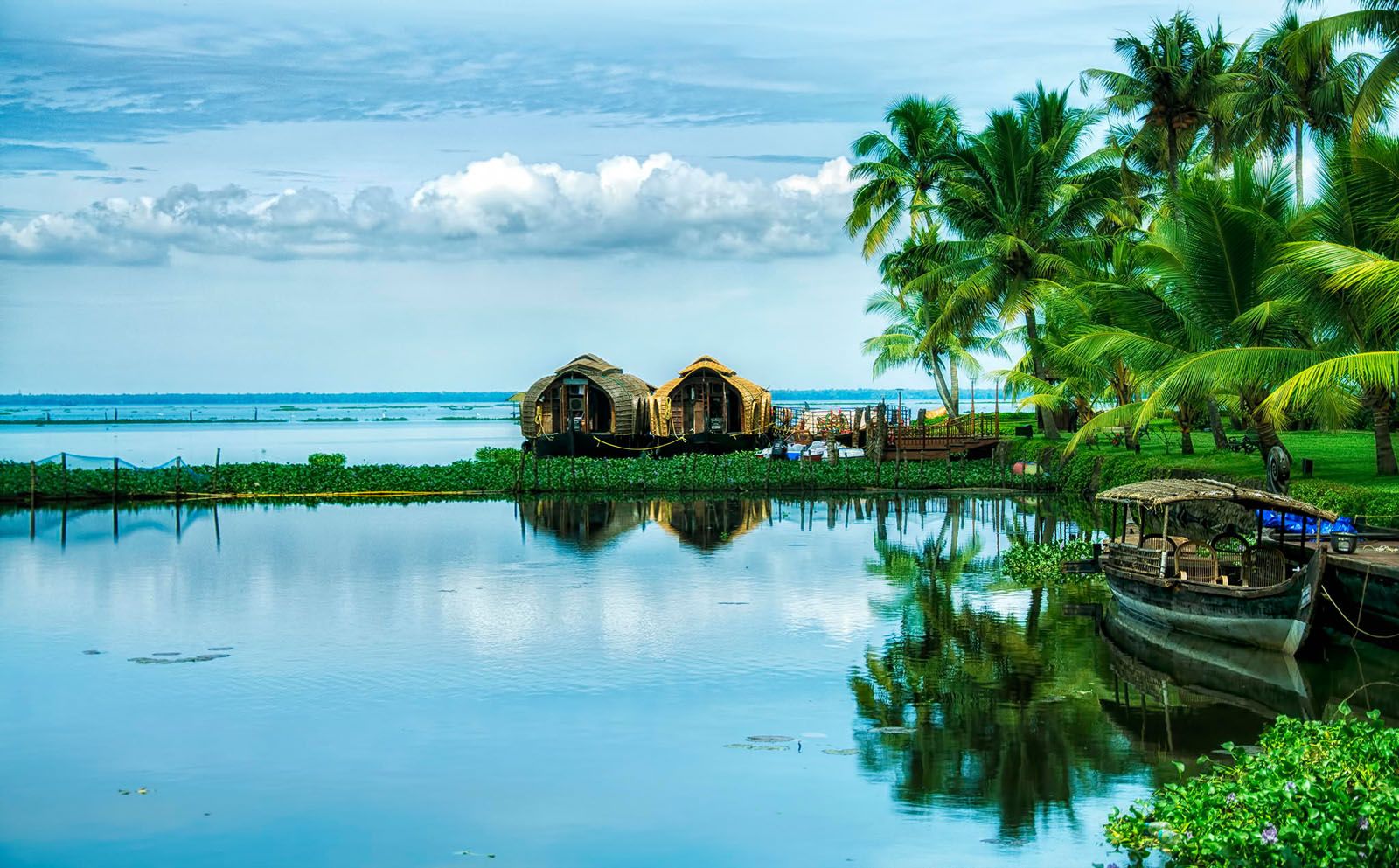 Alleppey RanganathFree Alleppey Ranganath Desktop Background