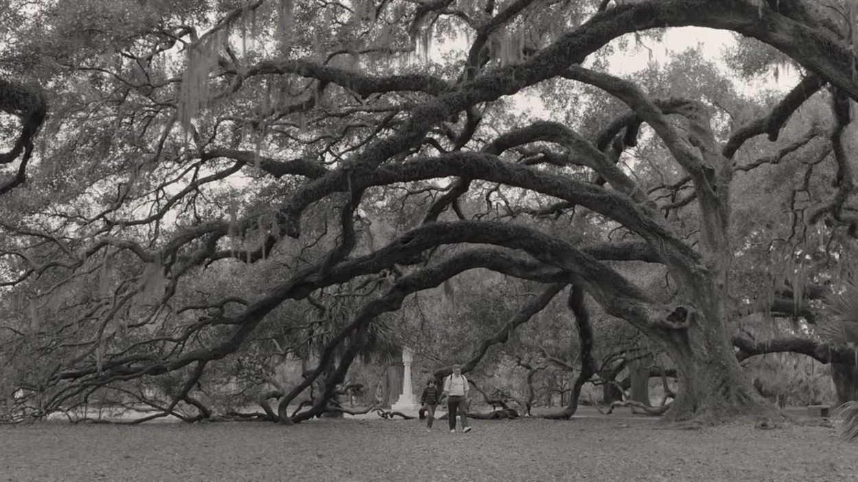 C'mon C'mon ⋆ State Theatre of Modesto