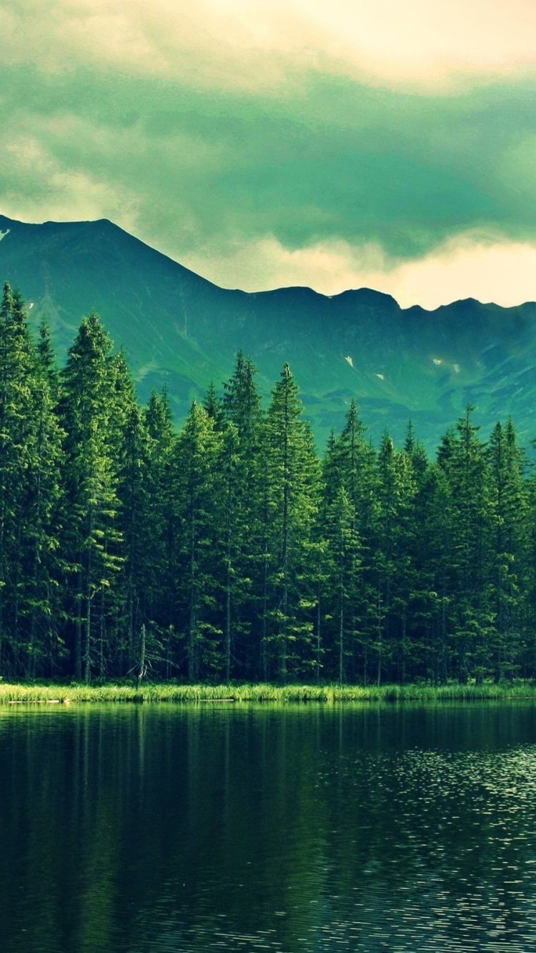 Download Wallpaper 750x1334 Mountains, Summer, Lake, Trees, Forest