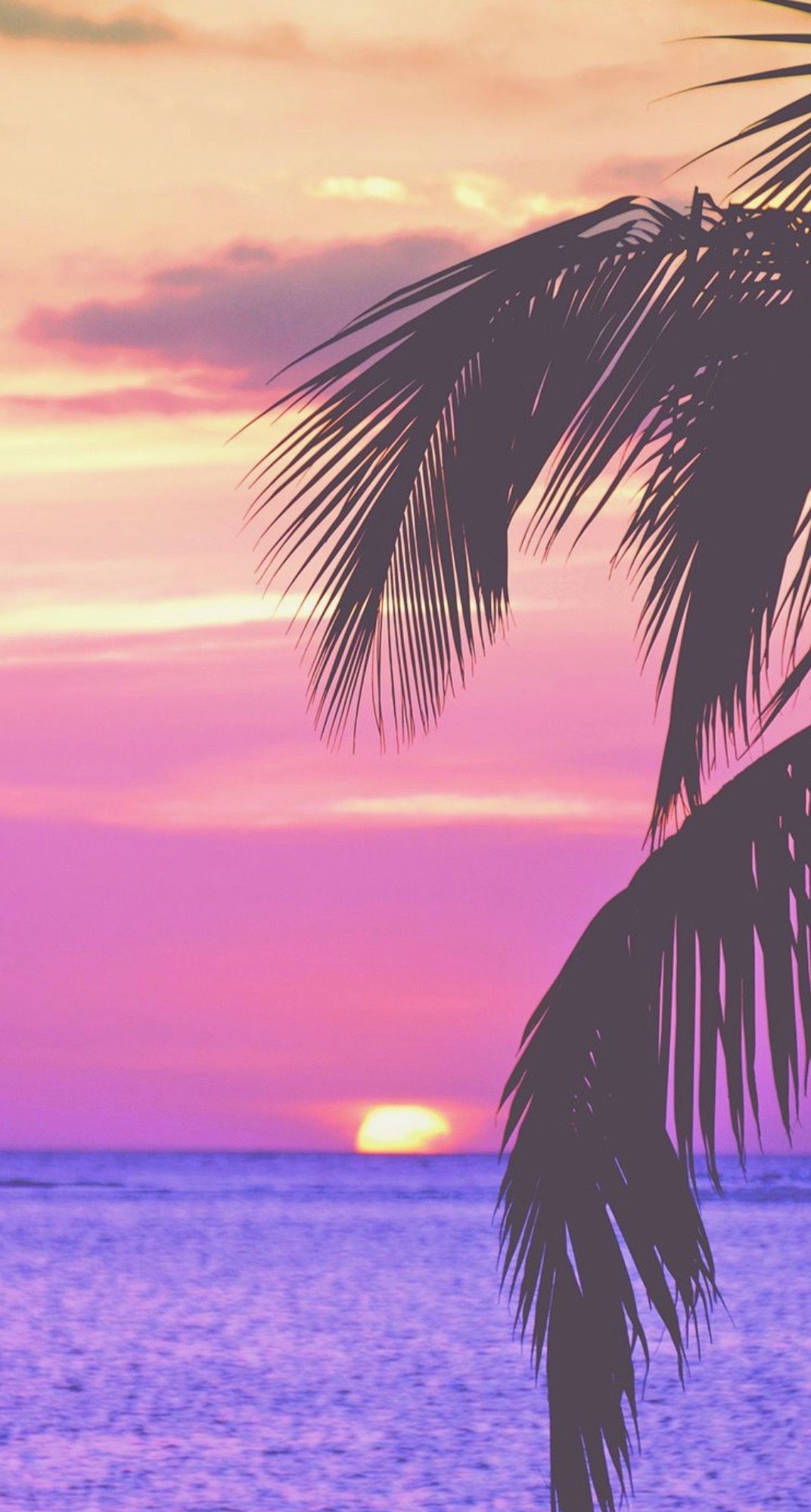 What is PARADISE? Will we ever see PEACE on Earth? What is the Purpose for EARTH and for Man. Wallpaper iphone summer, Tree wallpaper phone, Tree wallpaper iphone